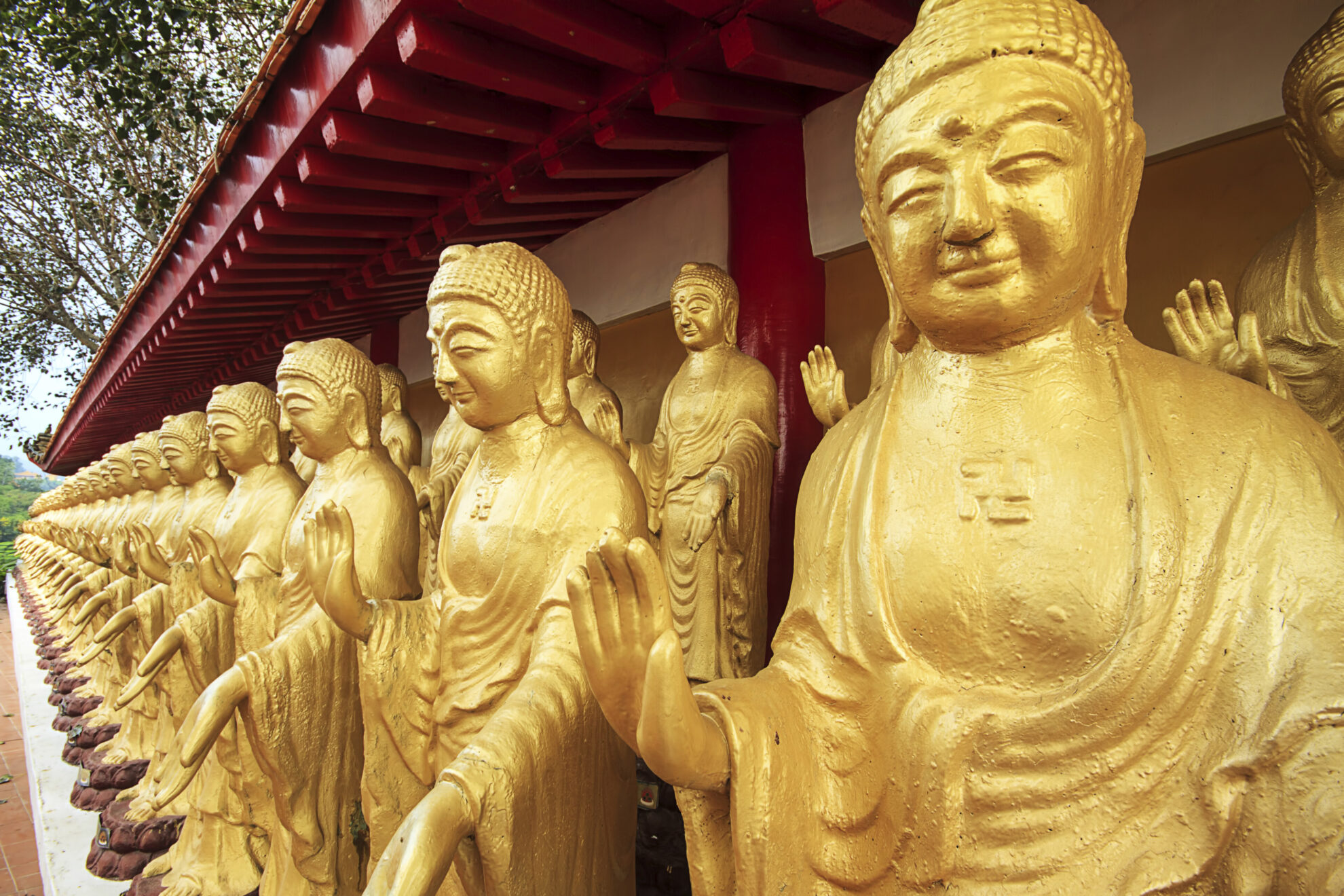 Chinesisch-buddhistischen Orden 