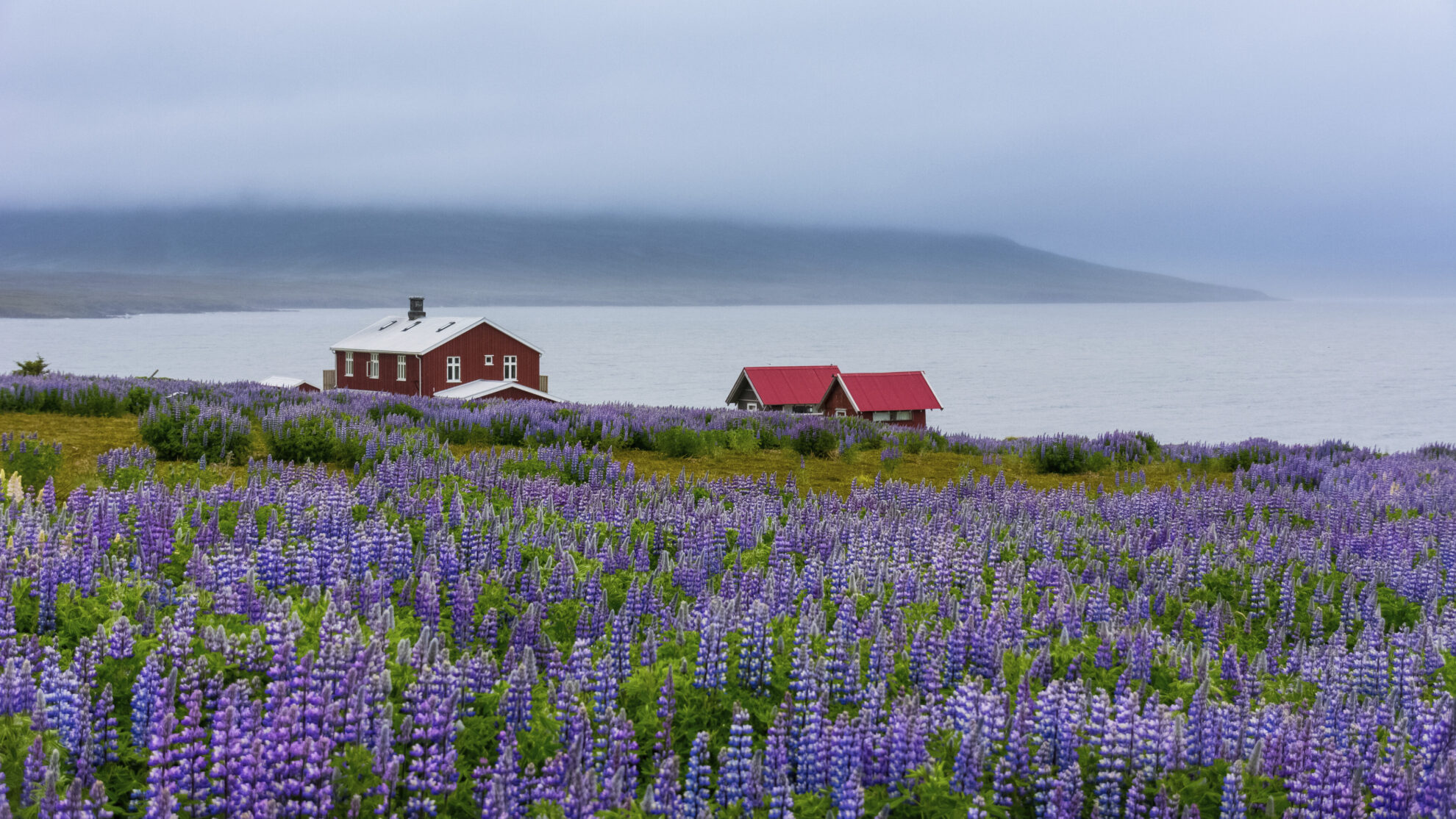 Seydisfjoerdur, Skalanes Naturreservat