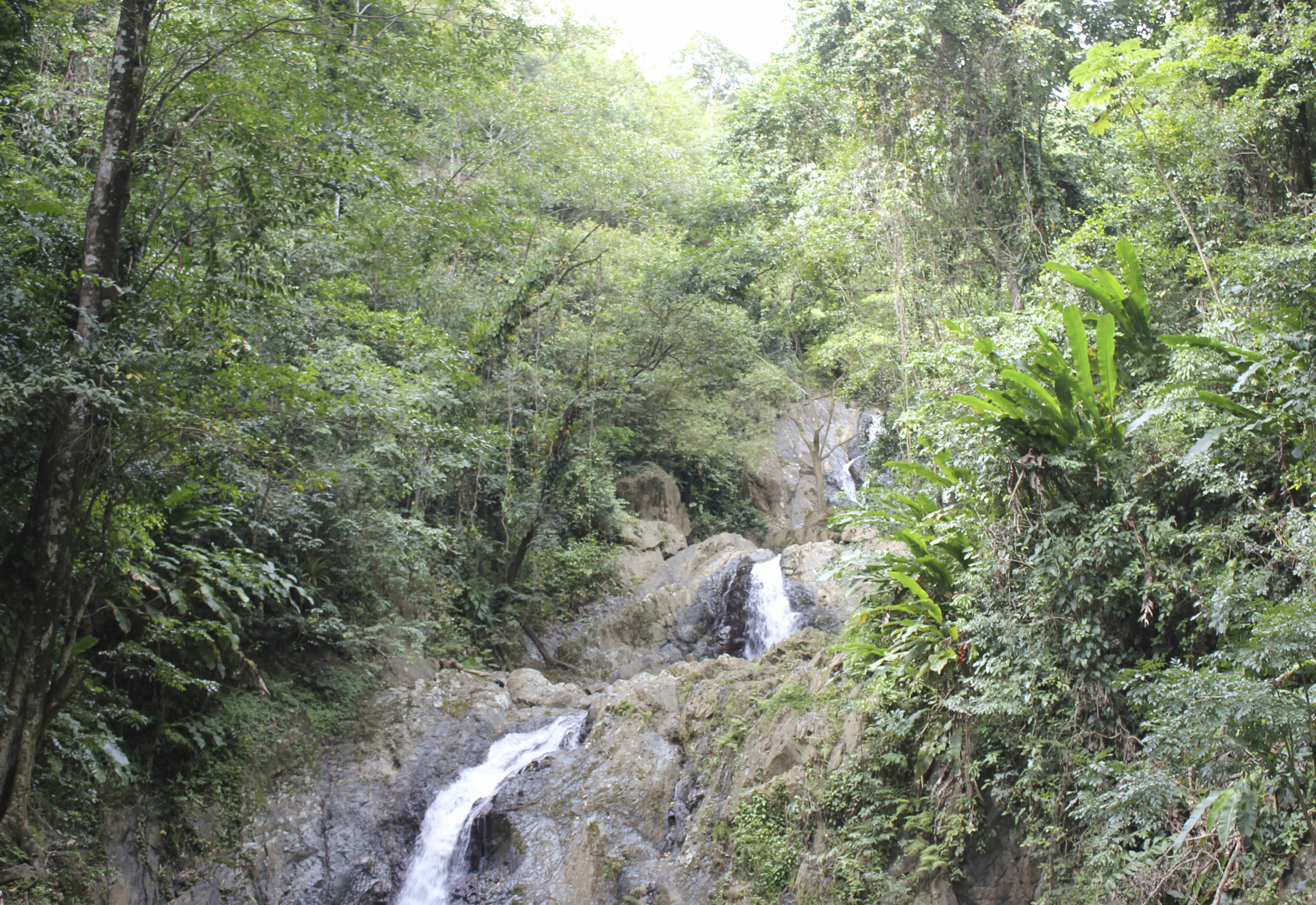 Argyle Wasserfälle