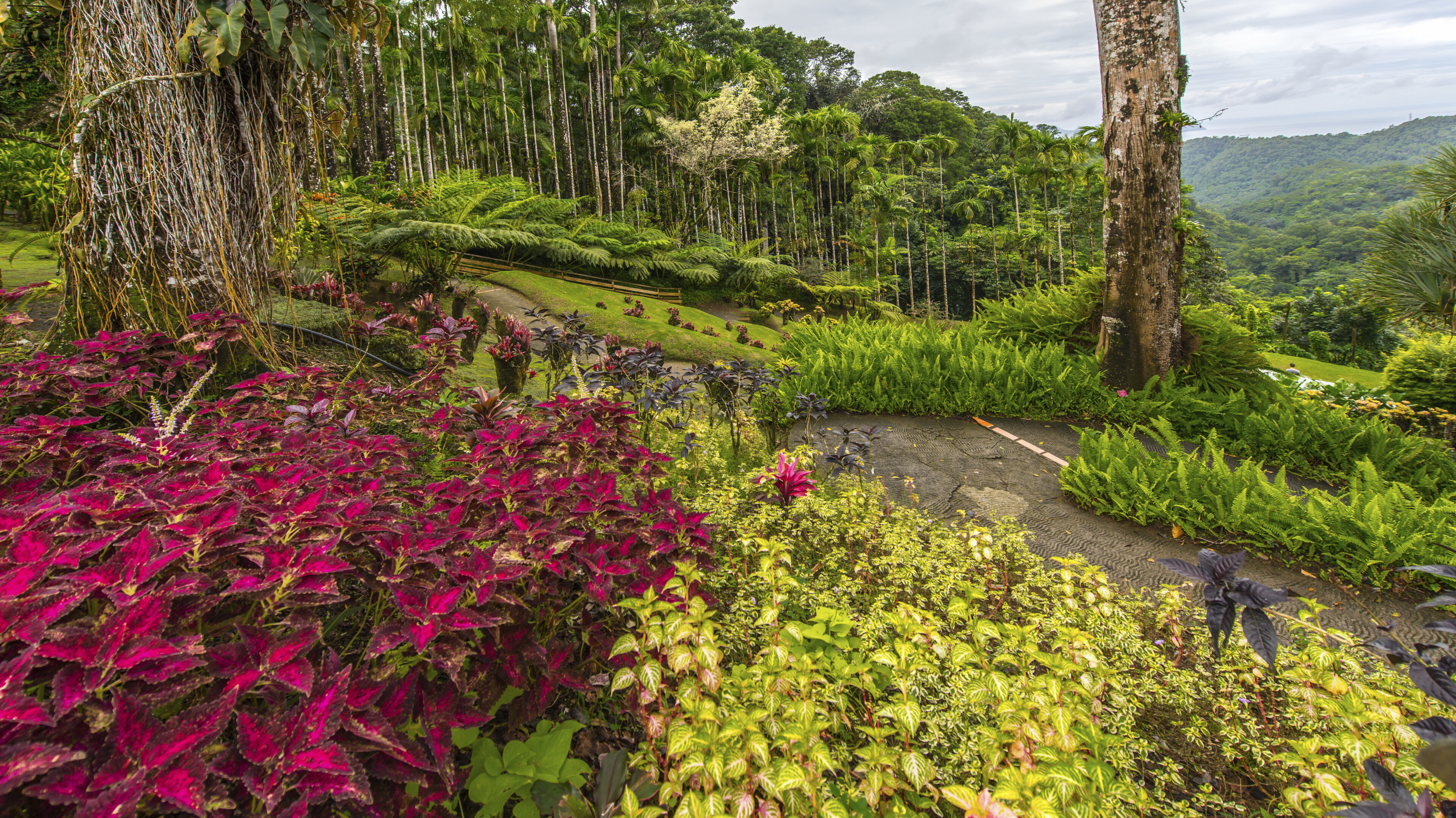 Fort de France, Botanischer Garten