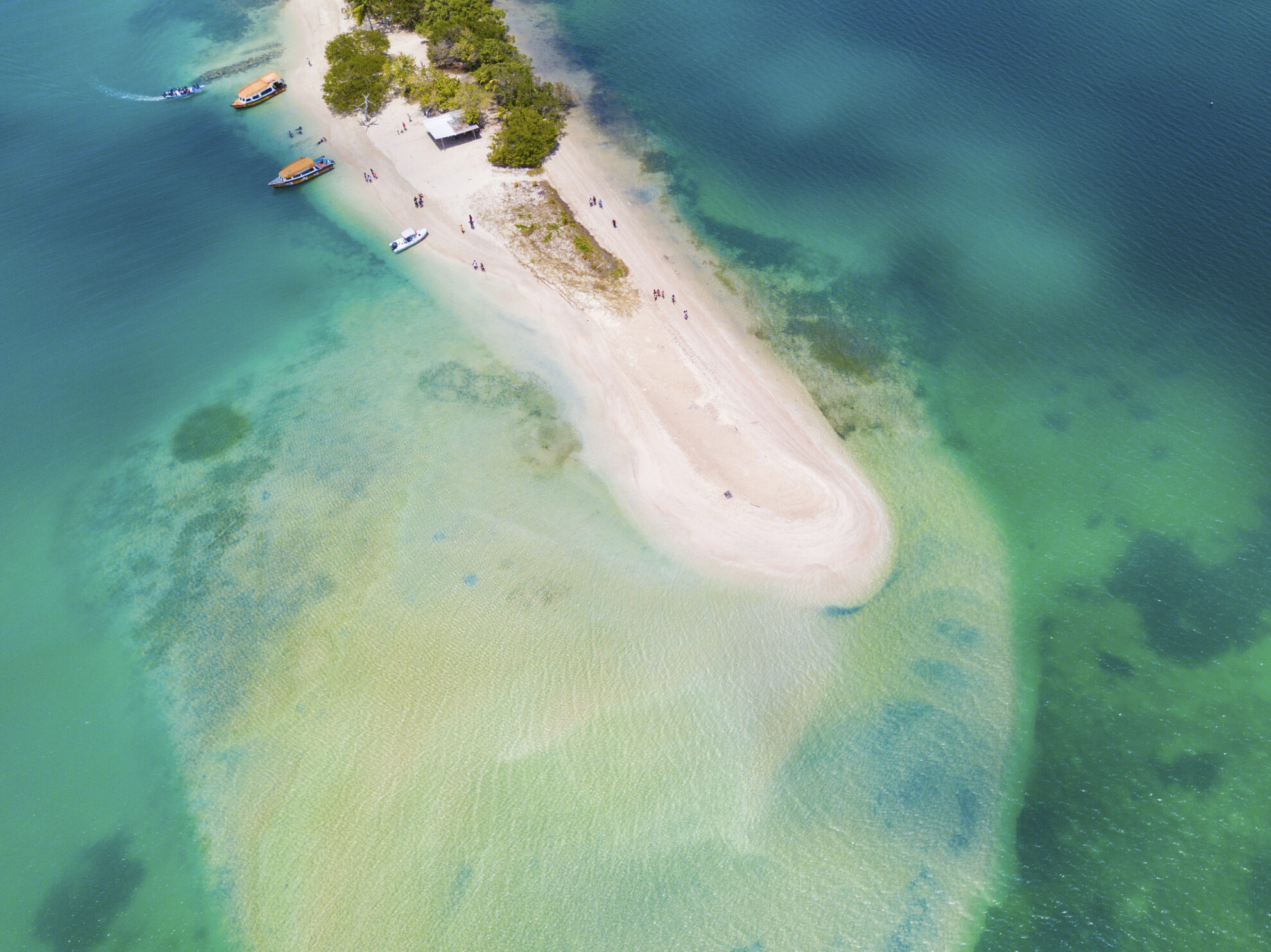Scarborough Buccoo Reef