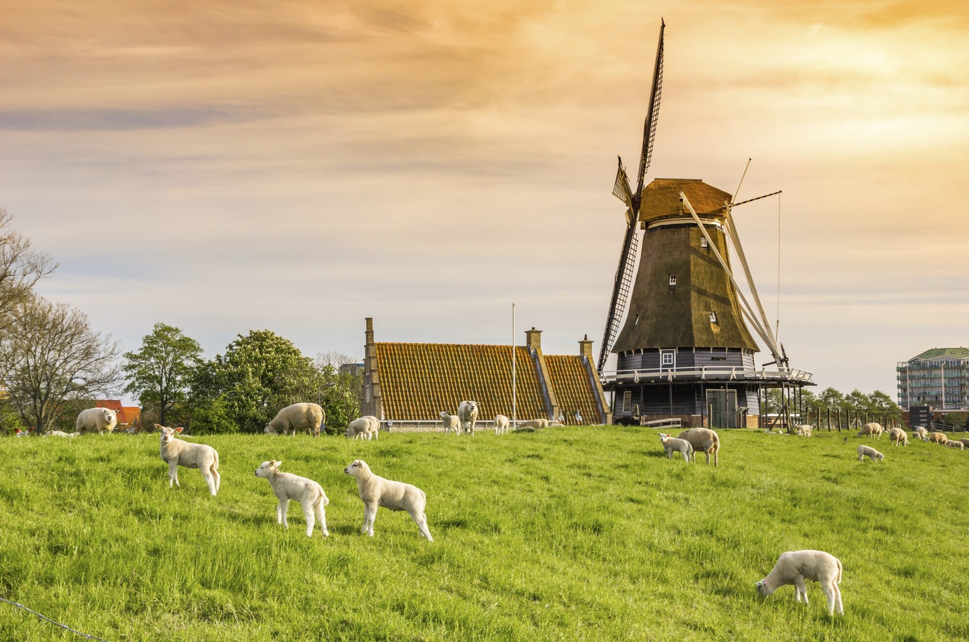 Medemblik