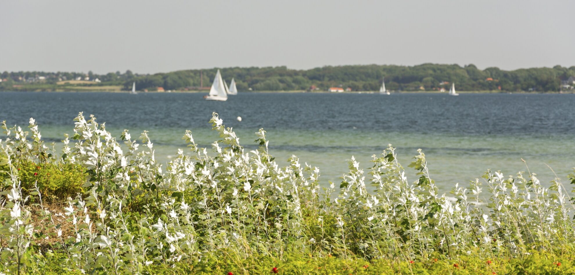 Flensburger Fördeland