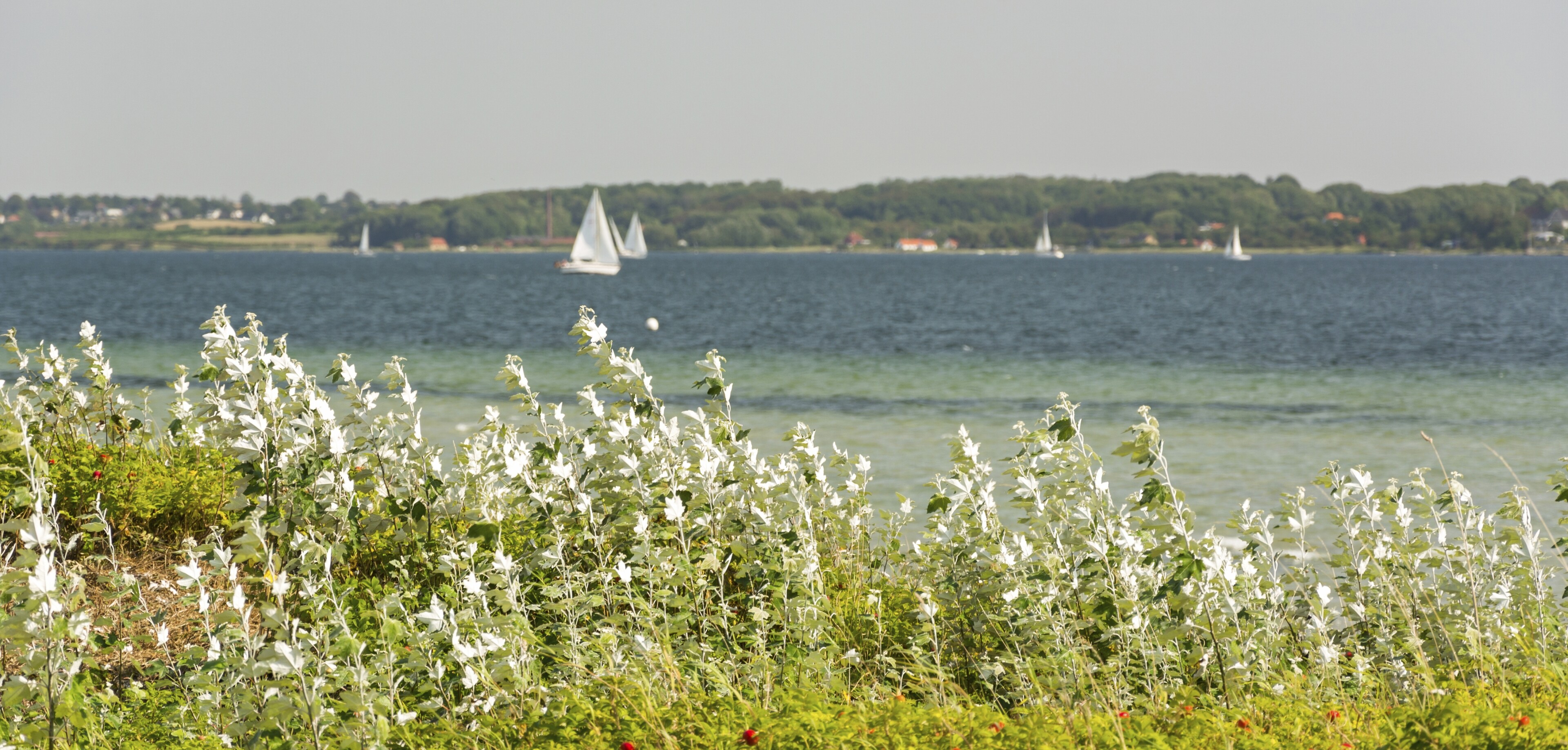 Flensburger Fördeland