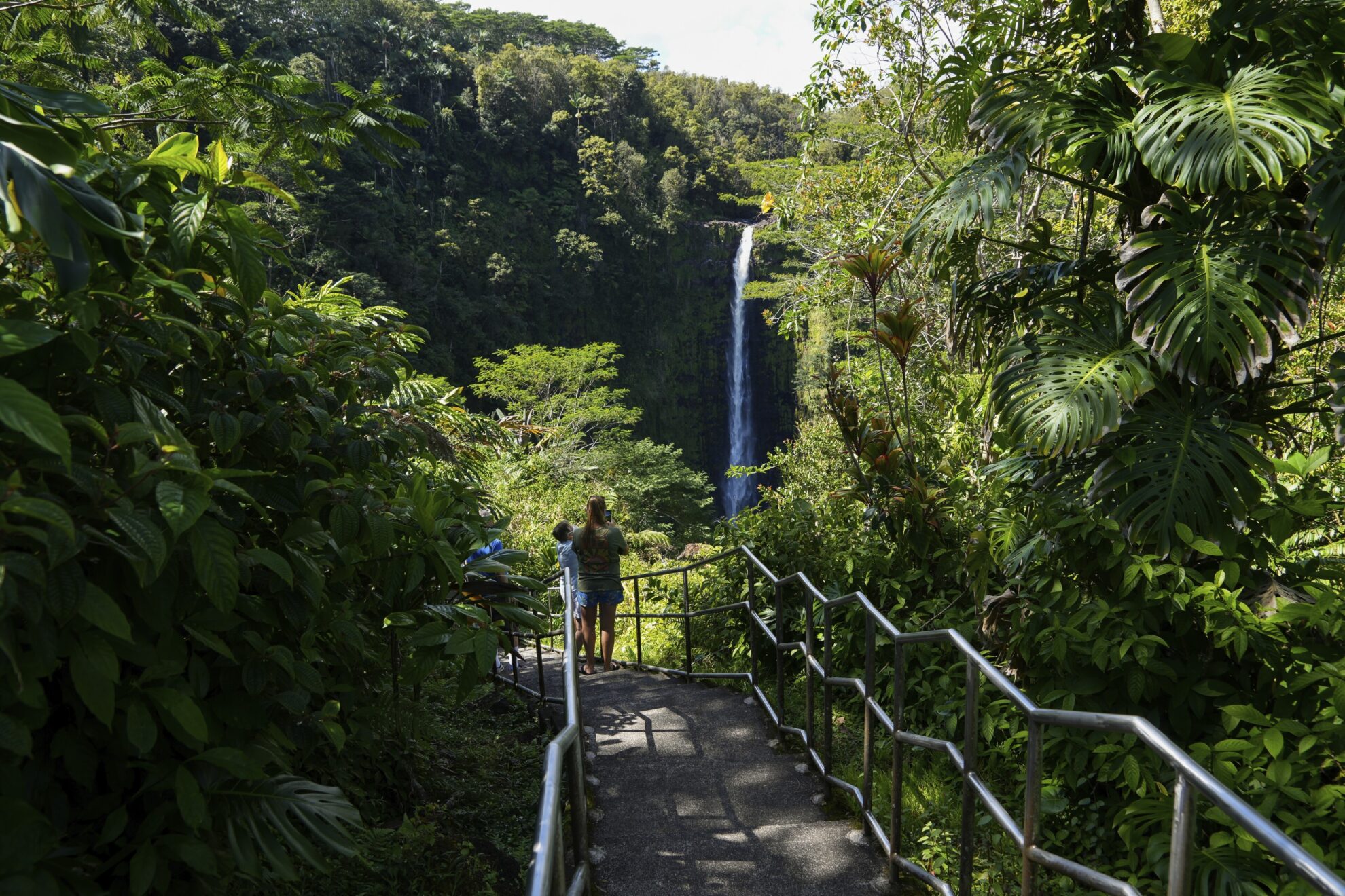 Hilo, Akaka Wasserfälle, USA