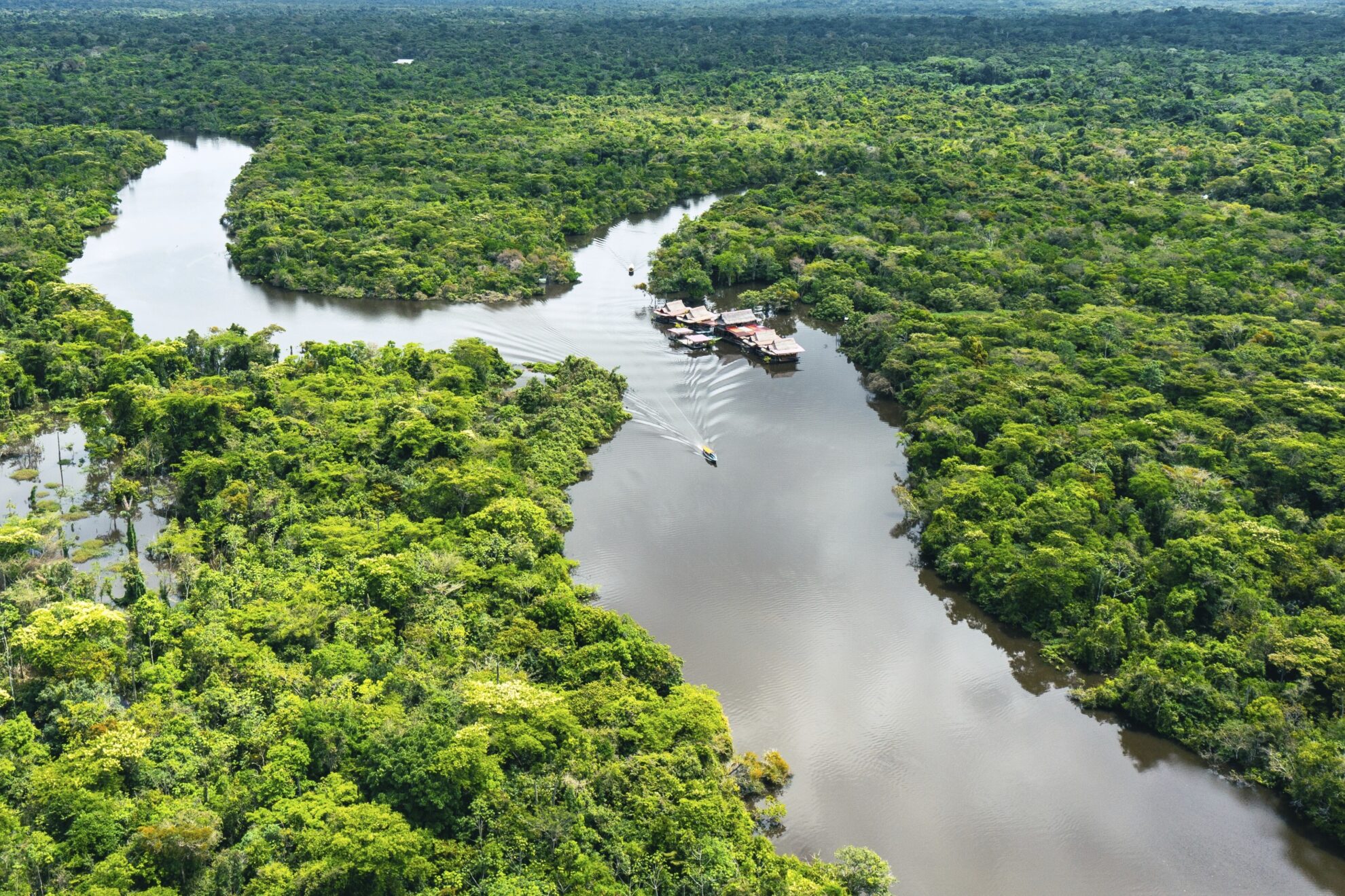 Amazonas
