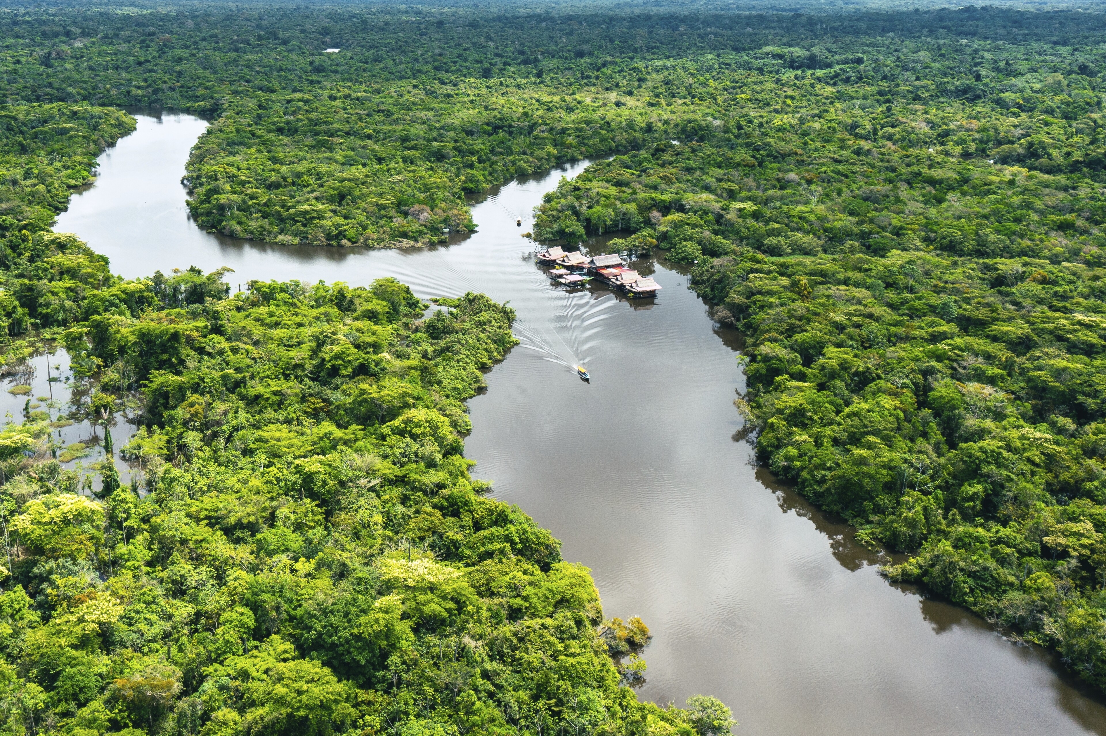 Amazonas