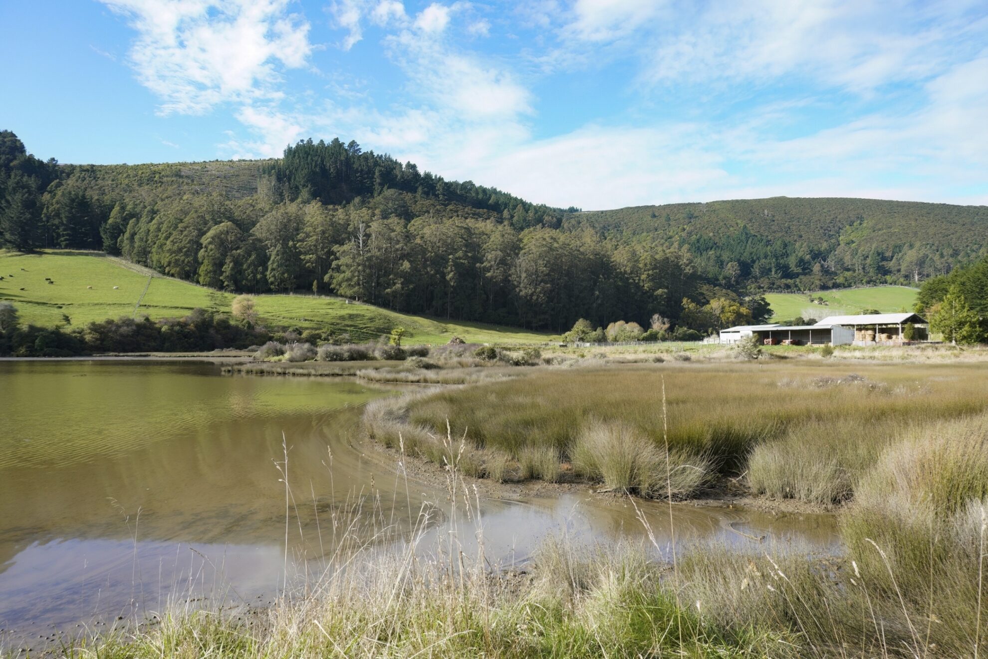 Orokonui Naturschutzgebiet