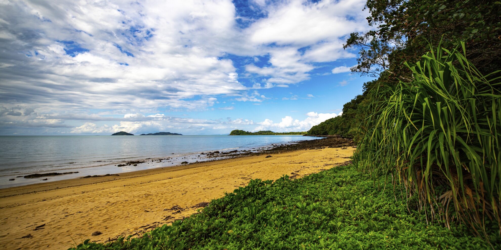 Townsville, Regenwald