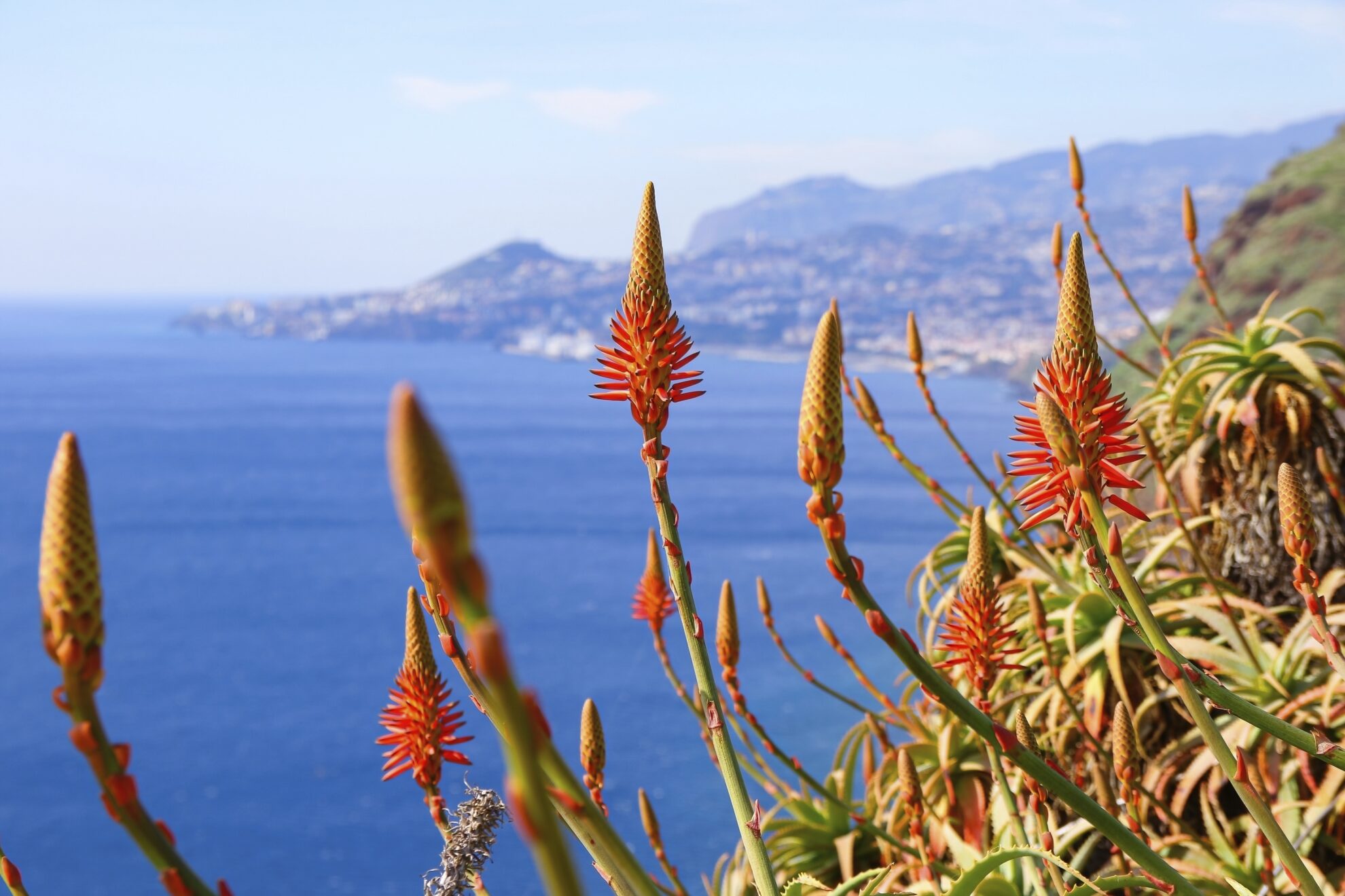 Funchal