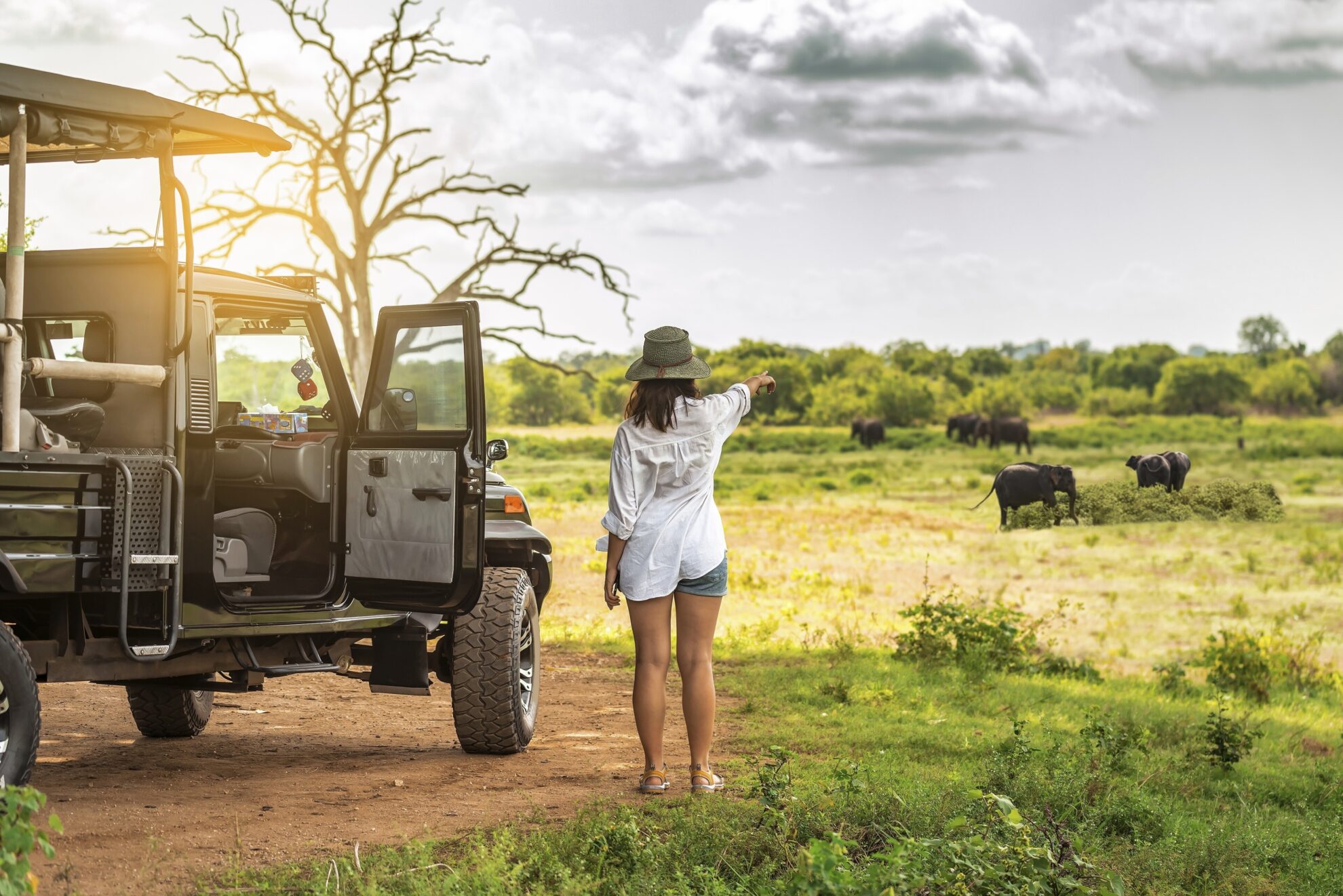 Hambantota, Safari