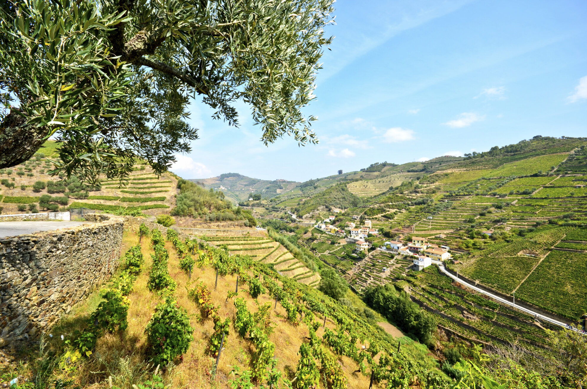 Portugiesische Weintäler