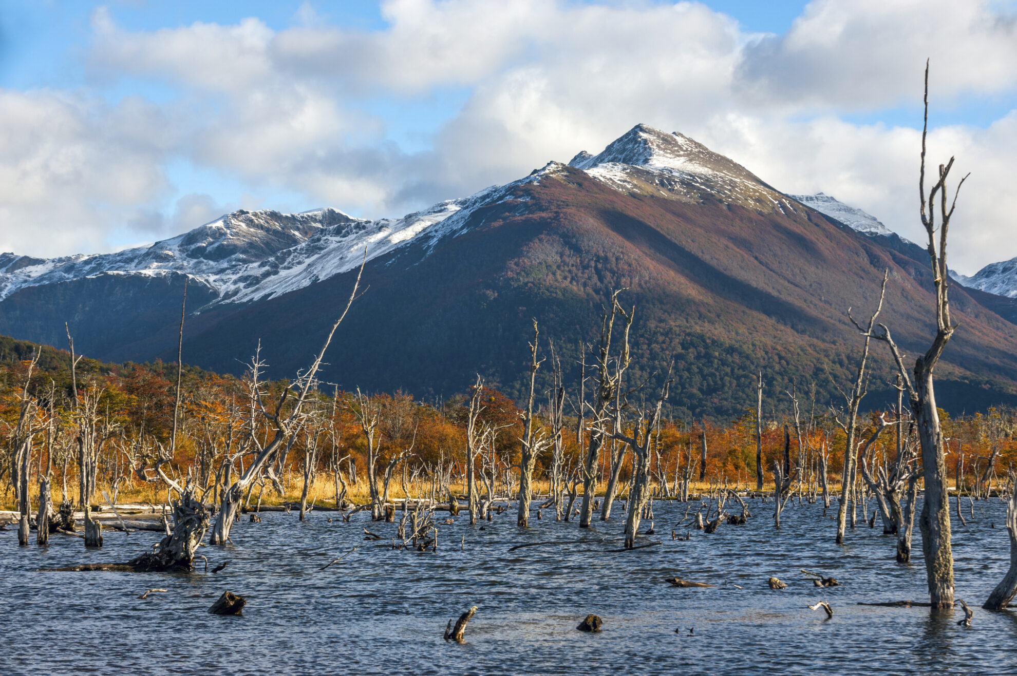 Seelandschaft am Lago Escondido in Argentinien
