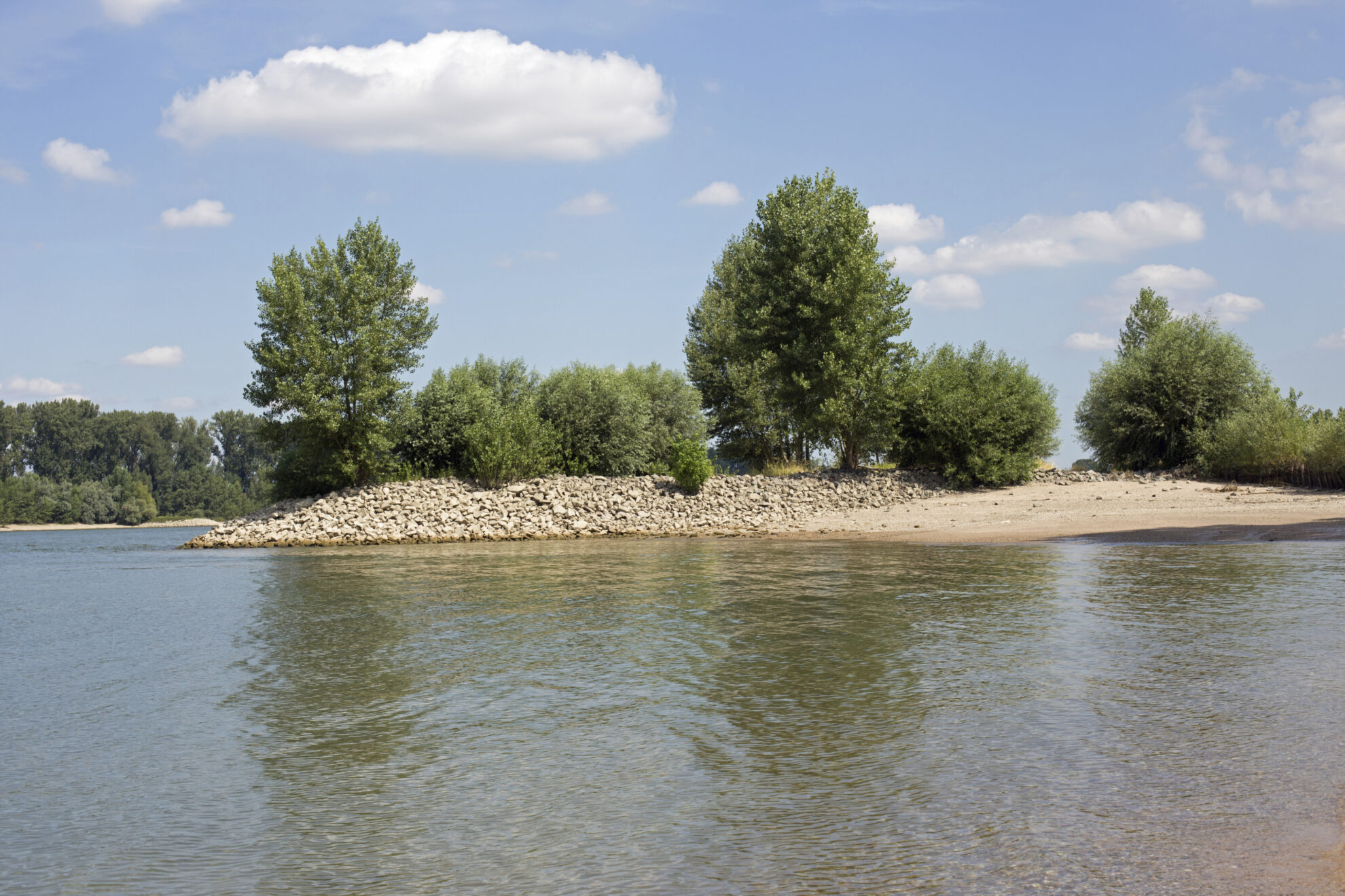 Ufer von Gernsheim, Deutschland