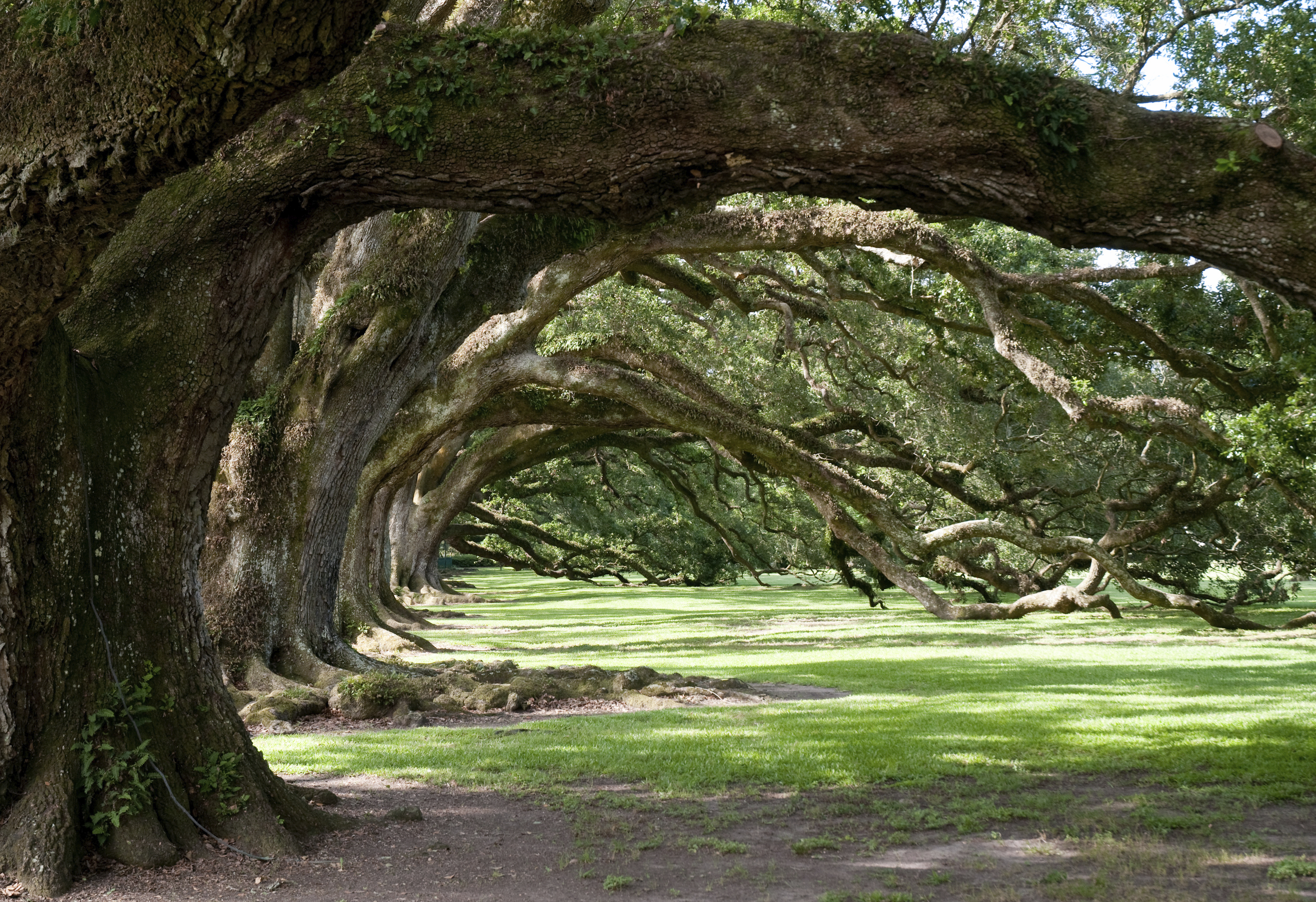 New Orleans, Oak Alley Plantage