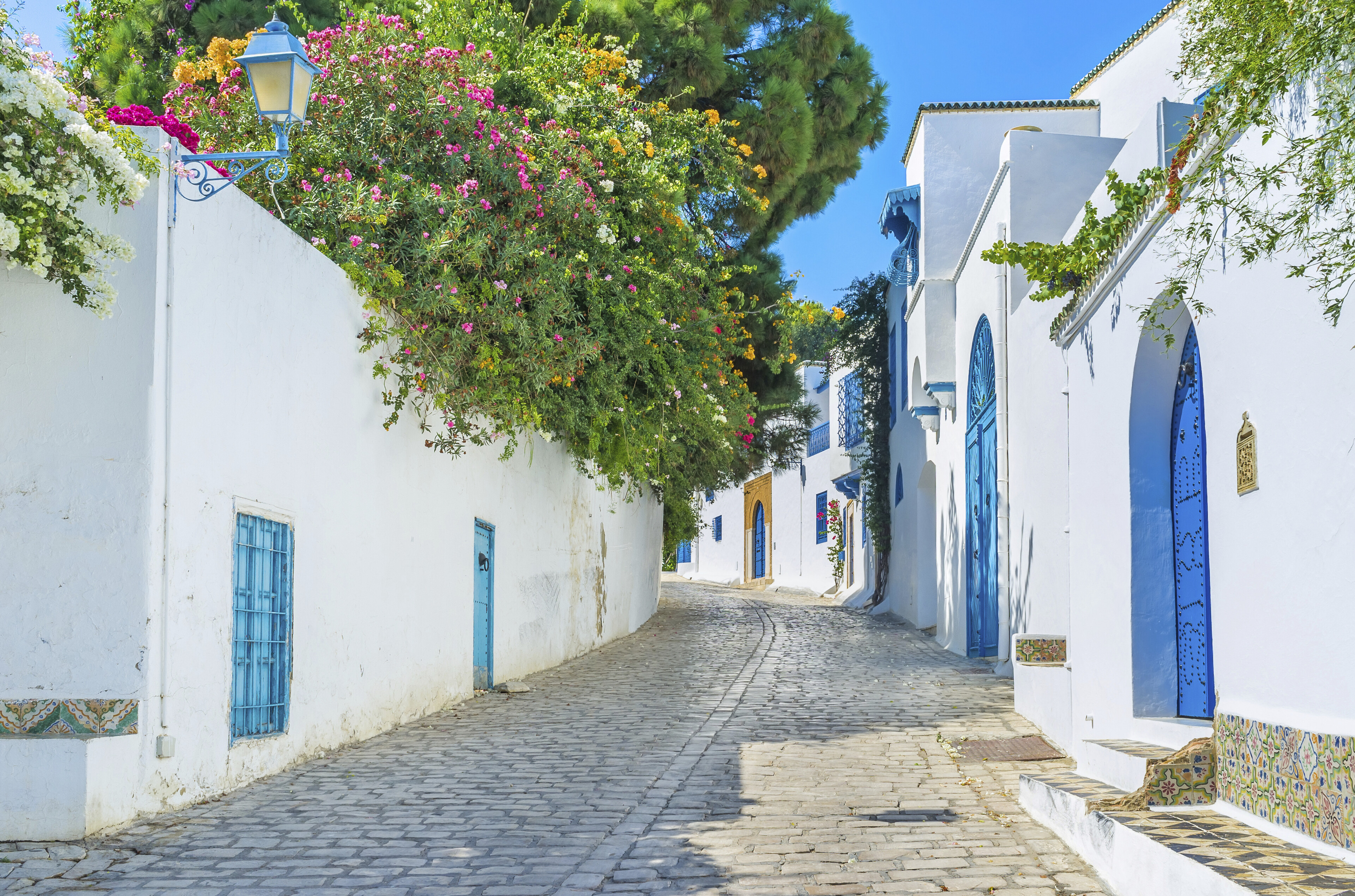 Künstlerdorf Sidi Bou Saïd in La Goulette, Tunesien