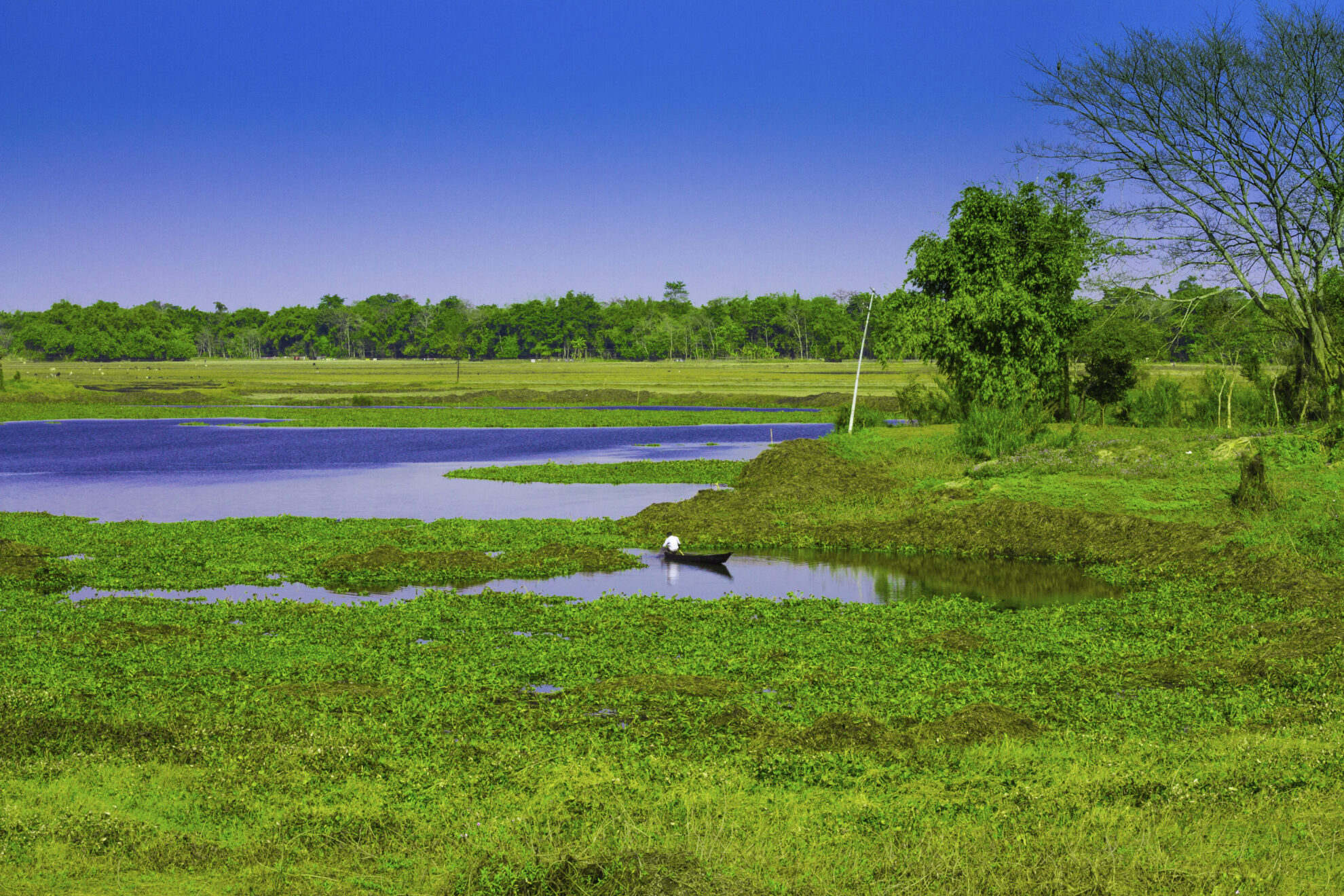 Küste der Majuli Insel, Indien