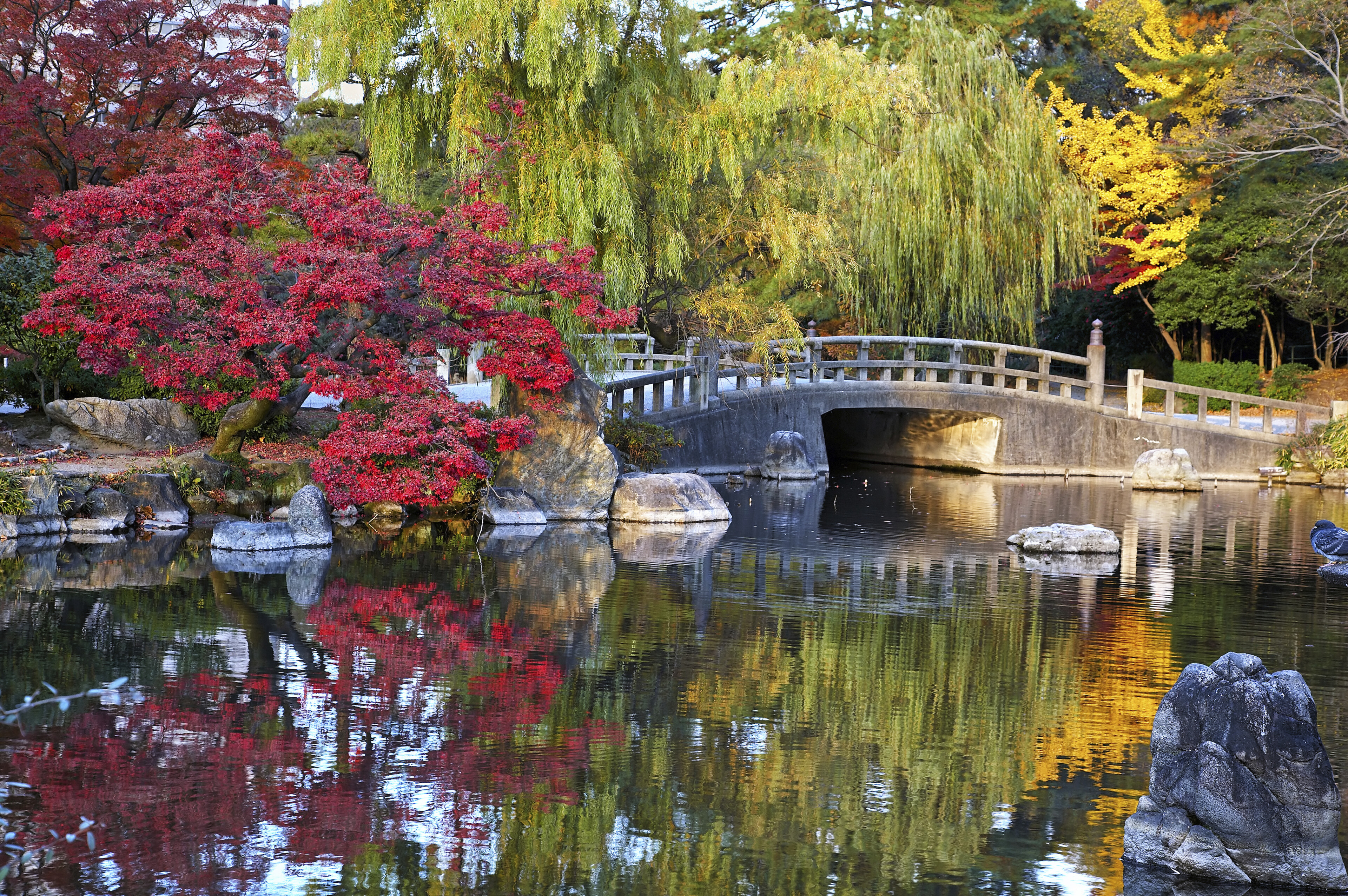Zurumai Park in Nagoya, Japan