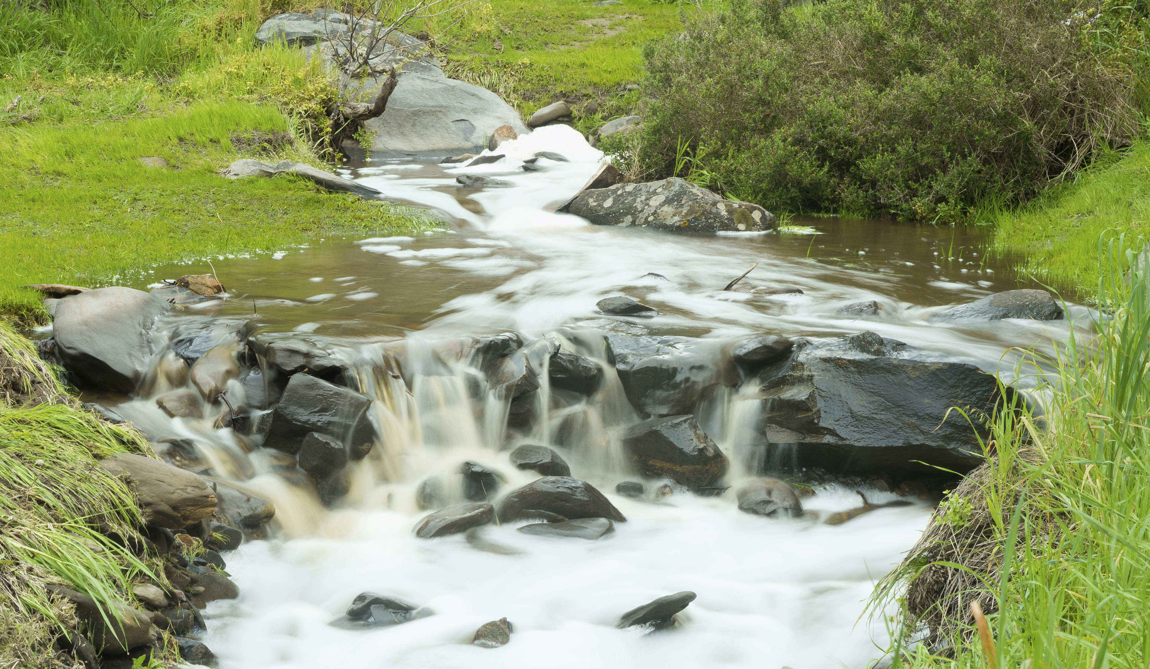 Bach in Penneshaw, Australien
