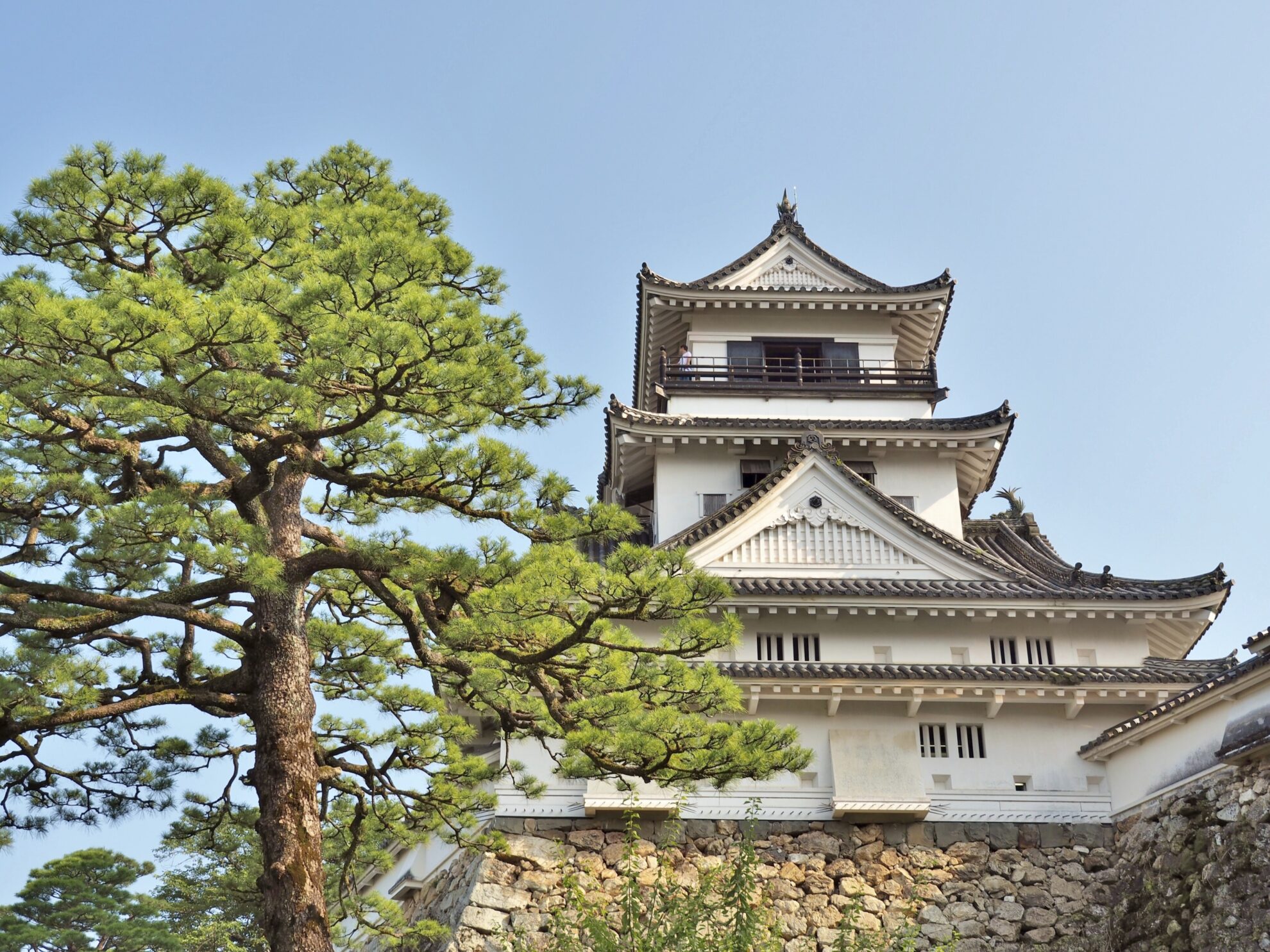 Burg Kochi, Japan