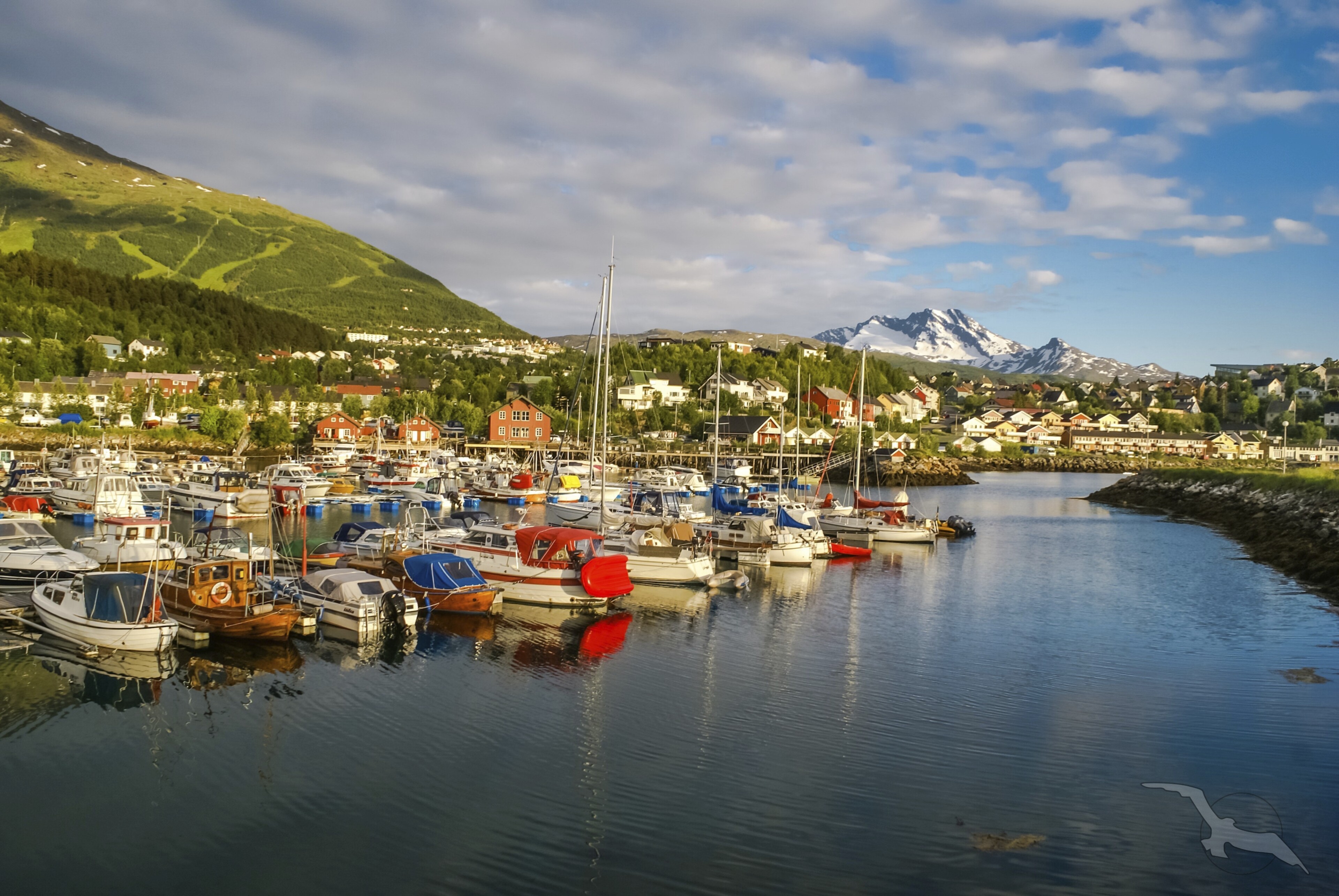 Hafen und Hinterland von Narvik, Norwegen