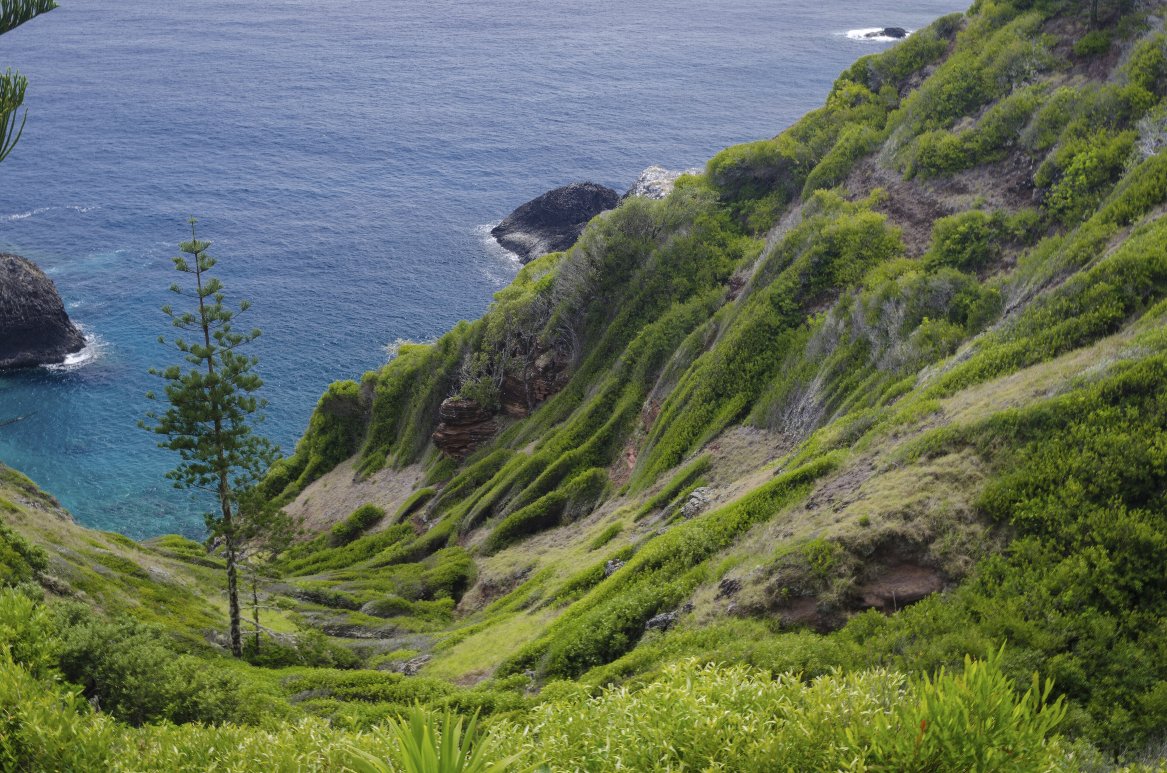 Küste der Norfolkinsel, Australien