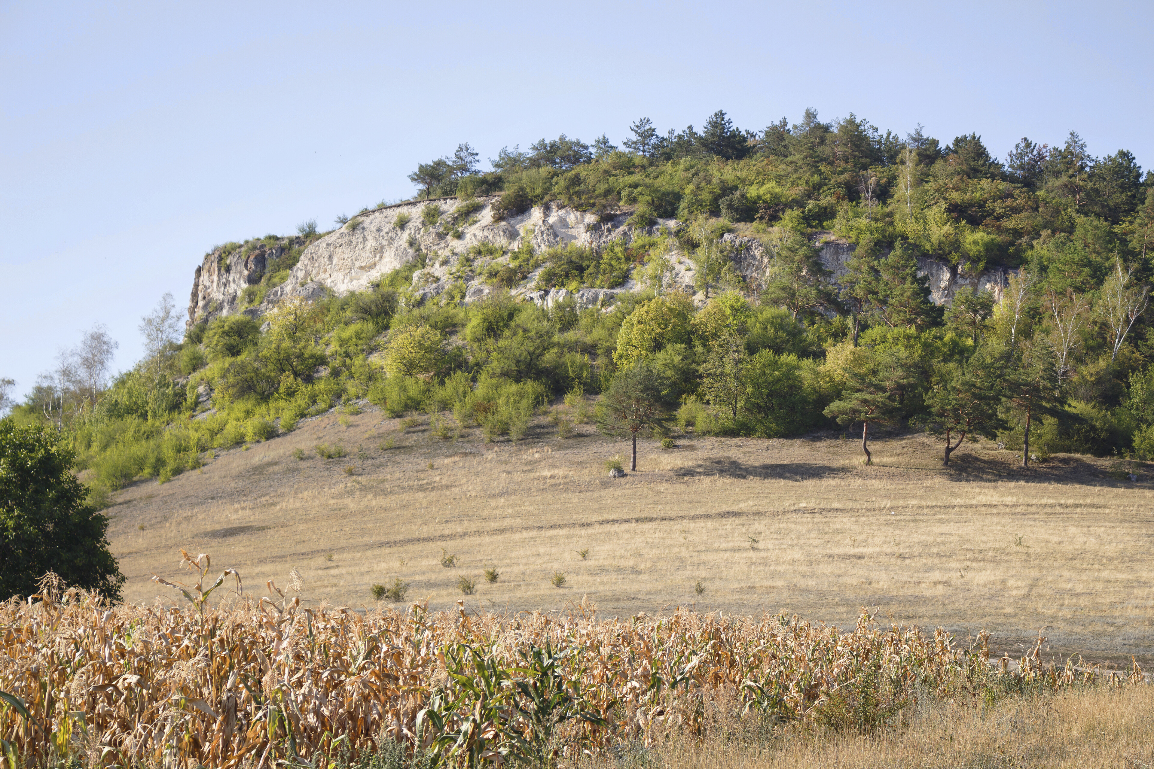 Natur in Fetesti, Rumaenien