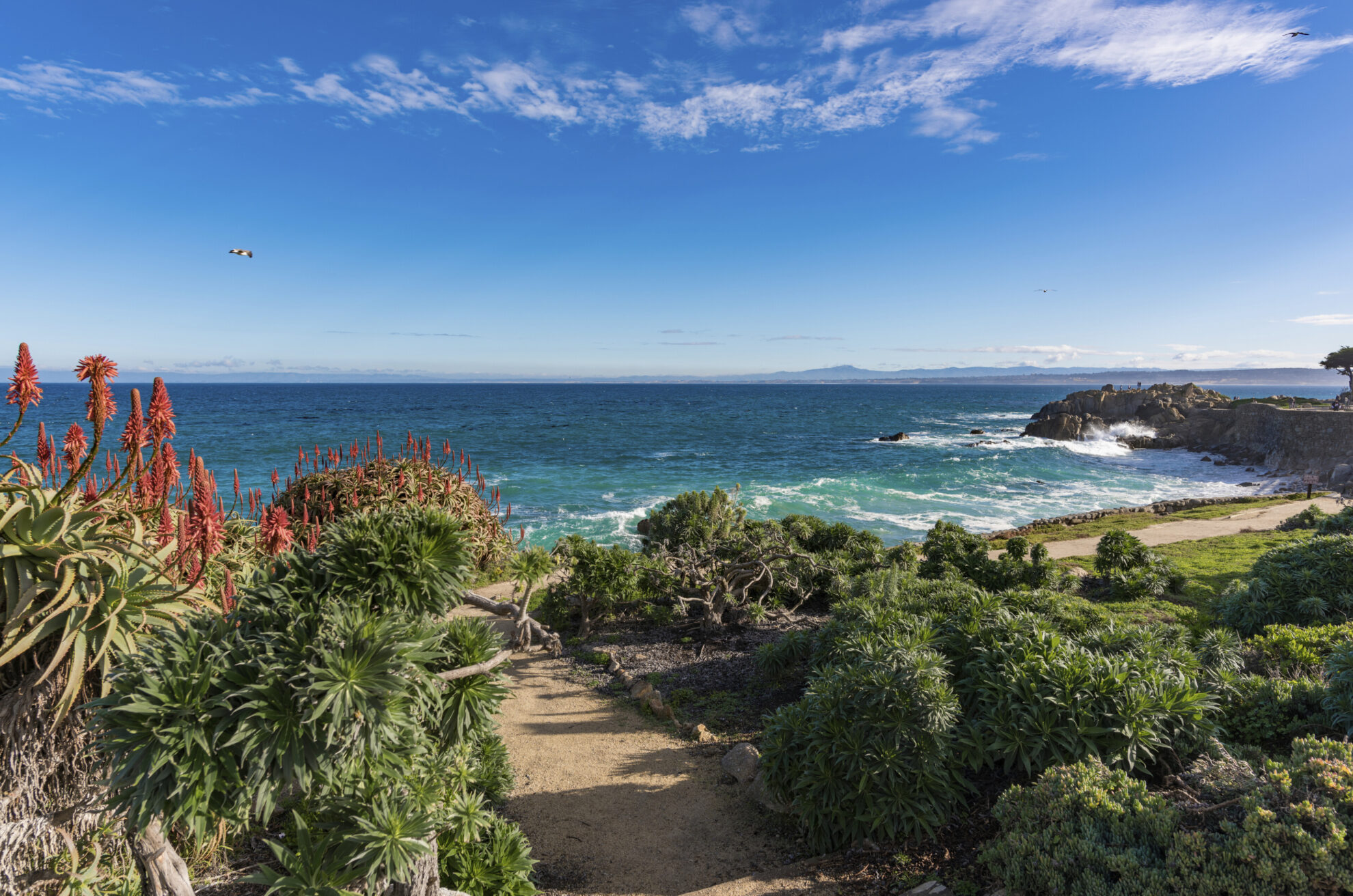 Strand von Monterey, USA