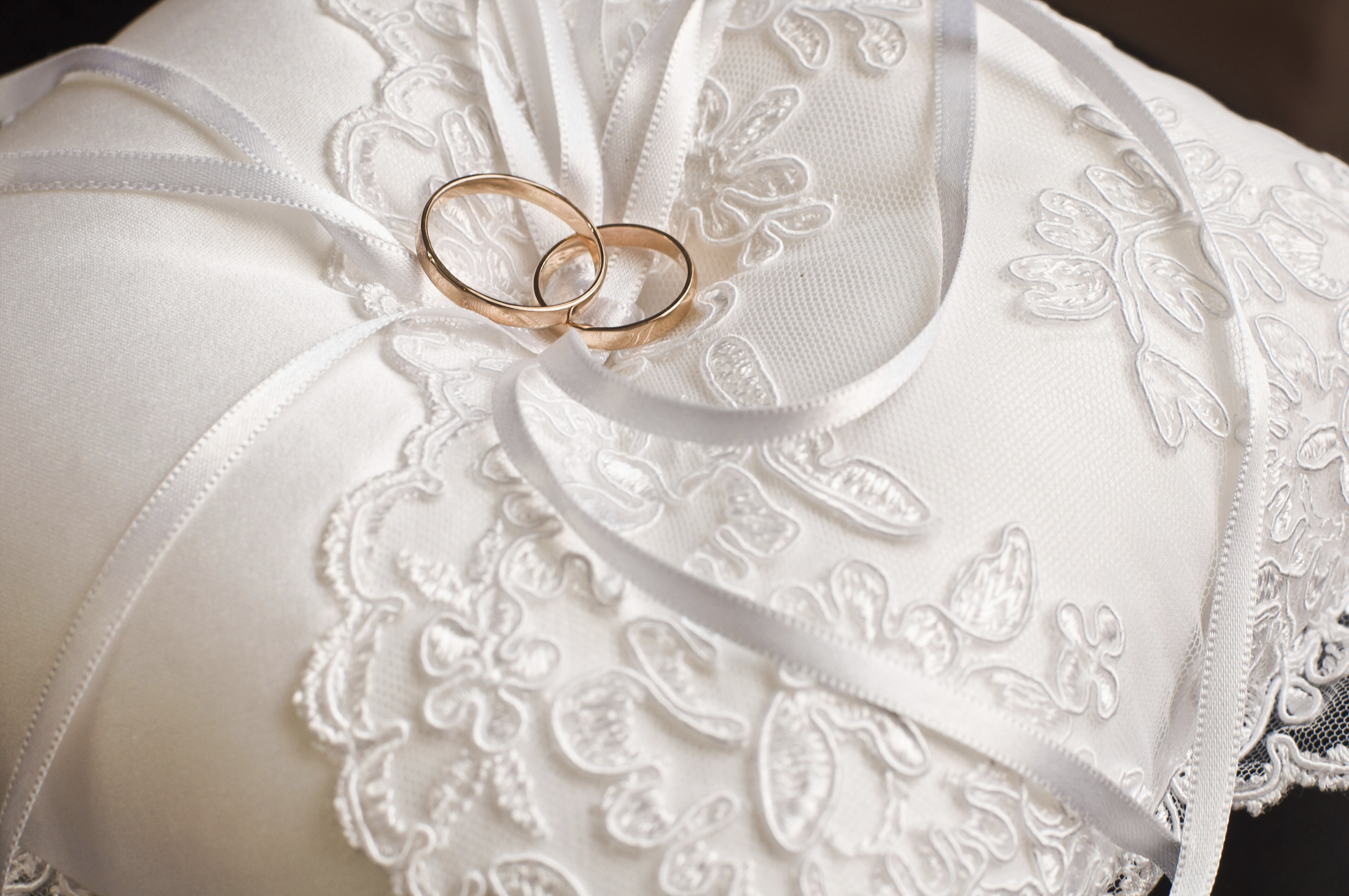 Eheringe auf einem Elfenbeinkissen