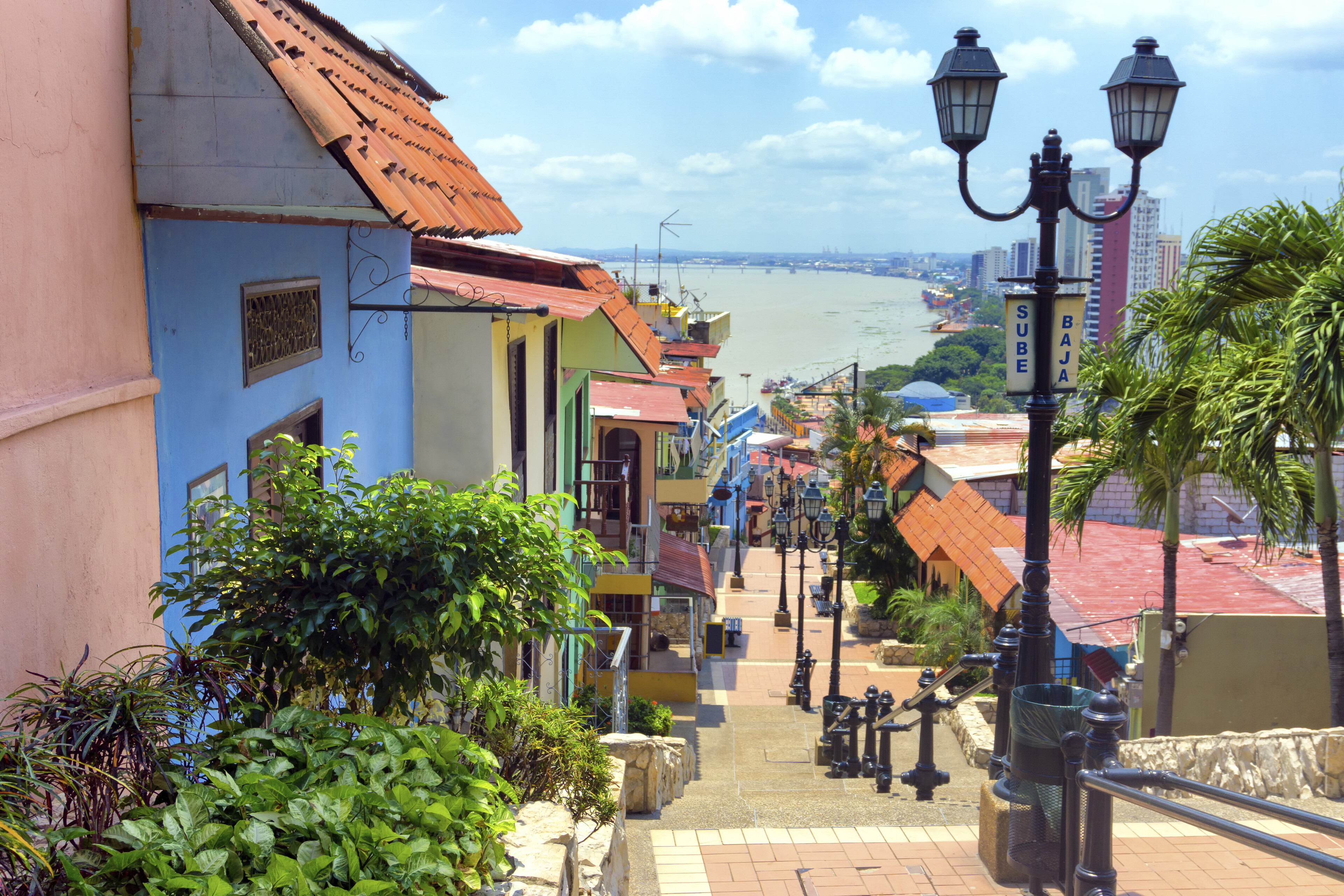 Santa Ana Hügel und Las Penas, Ecuador