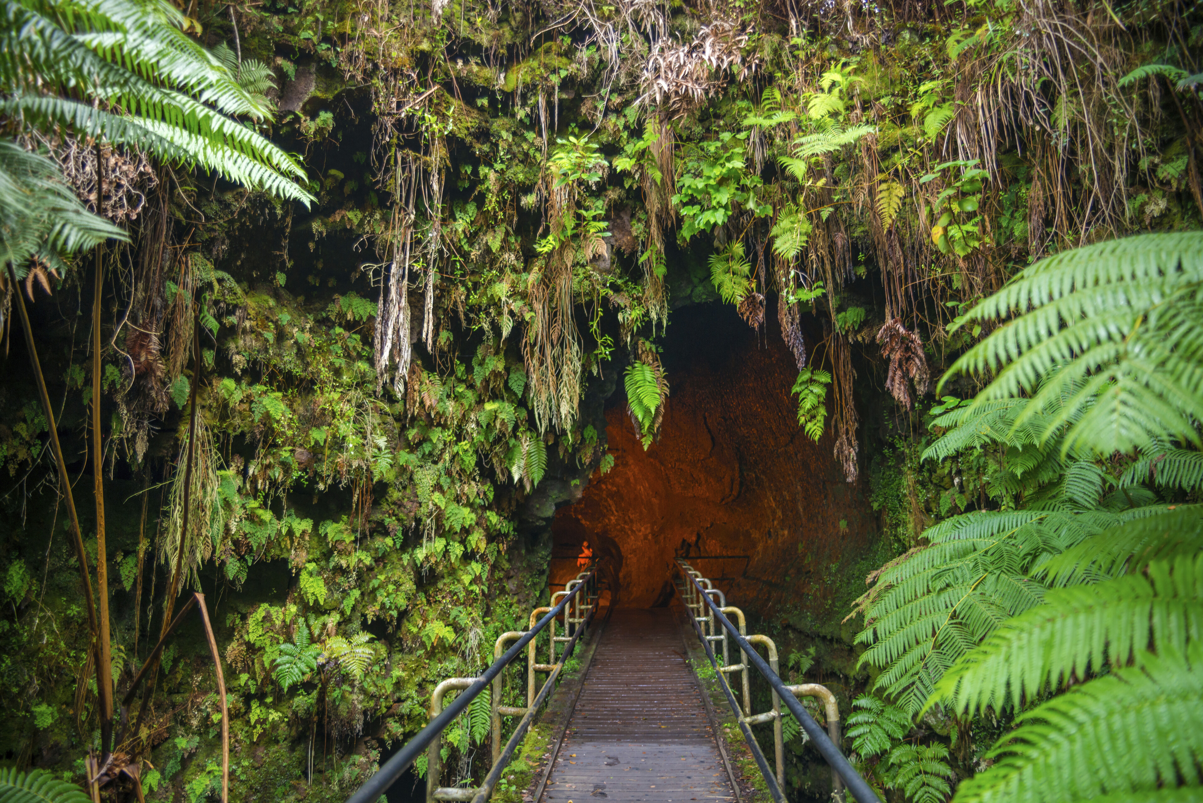 Thurston Lava Tube im Hawai?i-Volcanoes-Nationalpark in Hilo, Hawaii