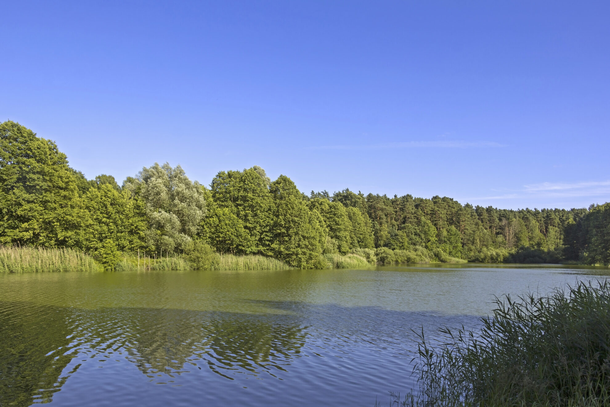 Schlaubetal Frankfurt Oder, Deutschland