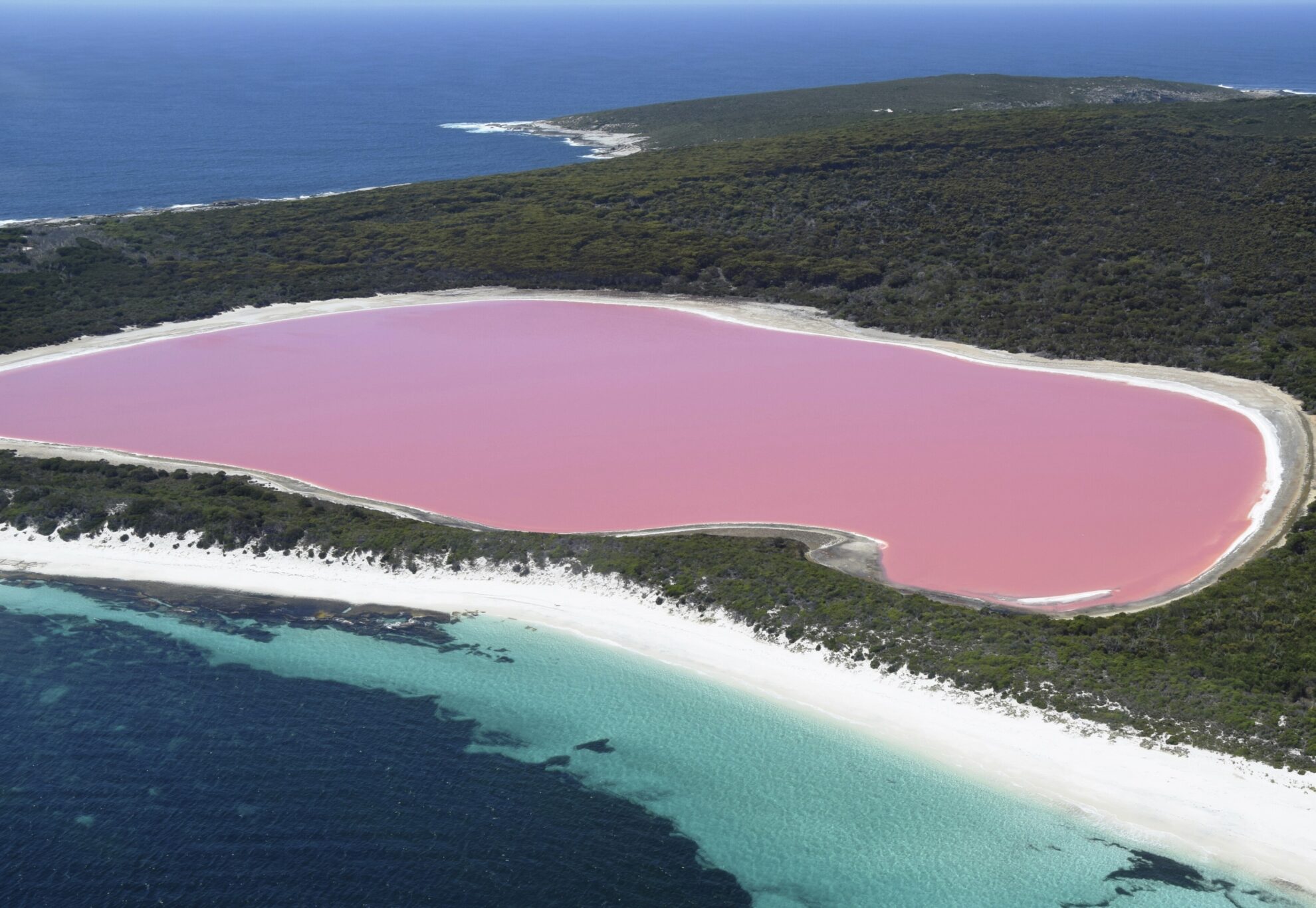 Pink Lake Salzsee in Esperance, Australien