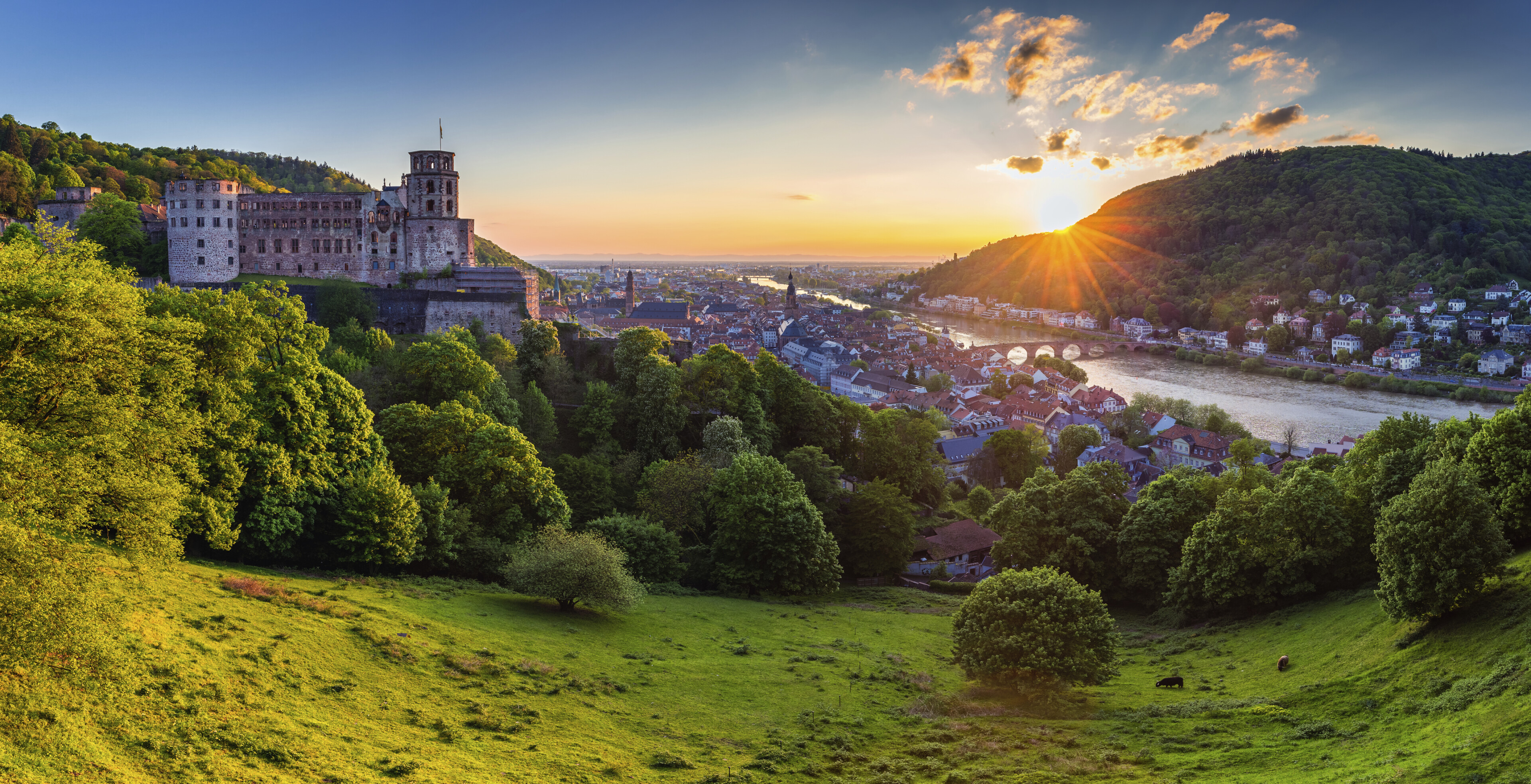 Heidelberg