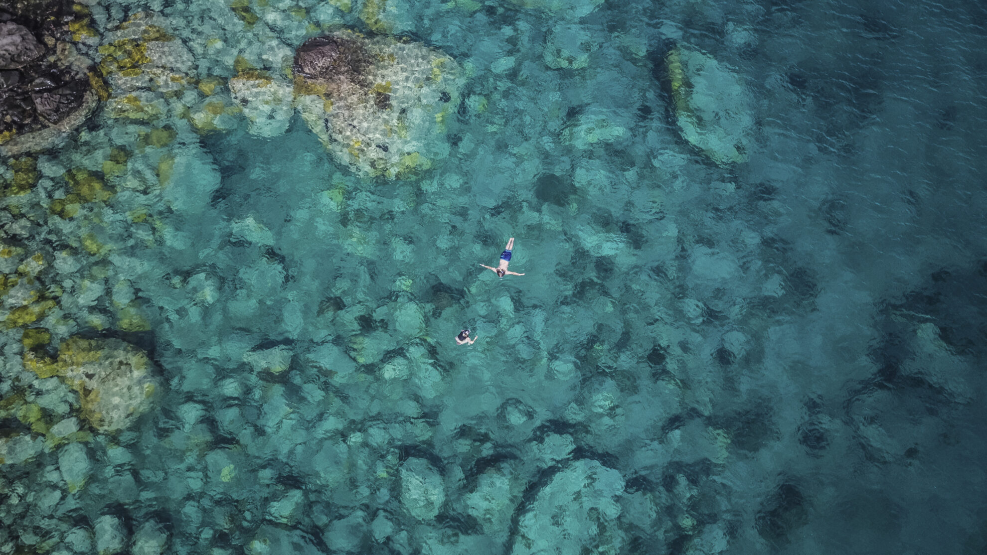 Tauchen bei Fort-de-France, Martinique