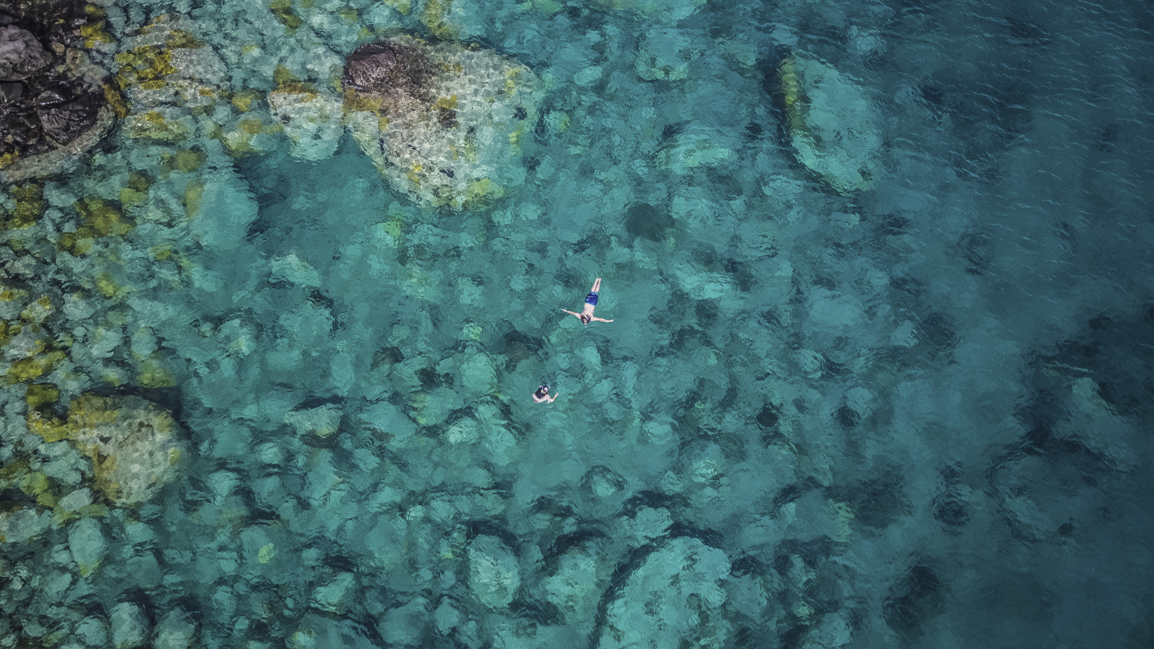 Tauchen bei Fort-de-France, Martinique