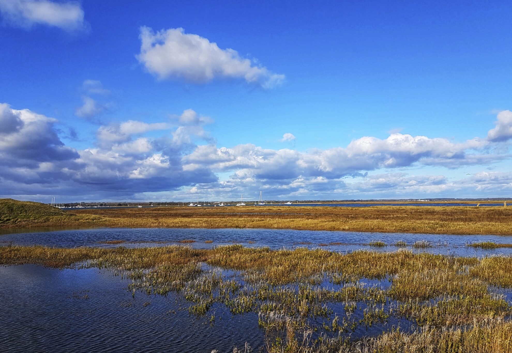 Landschaft von Milford Haven, Wales