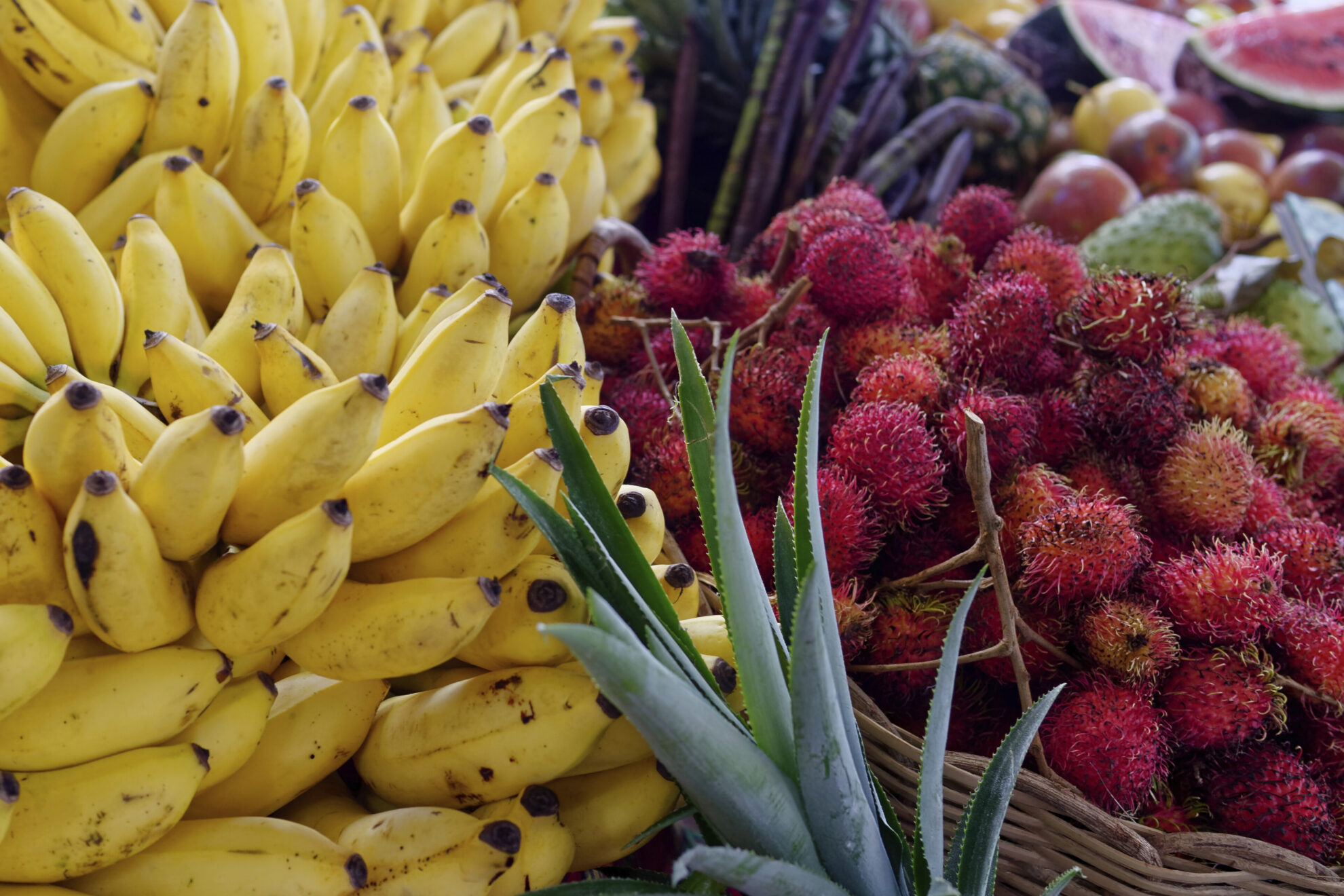 Exotische Früchte in Fort-de-France, Martinique