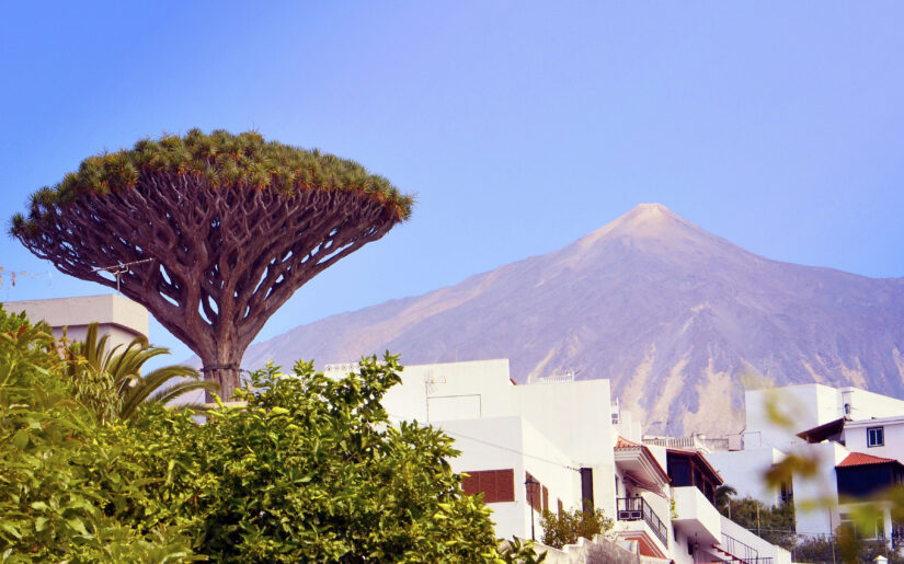 Santa Cruz de Tenerife auf Teneriffa in Spanien auf einer Kreuzfahrt entdecken
