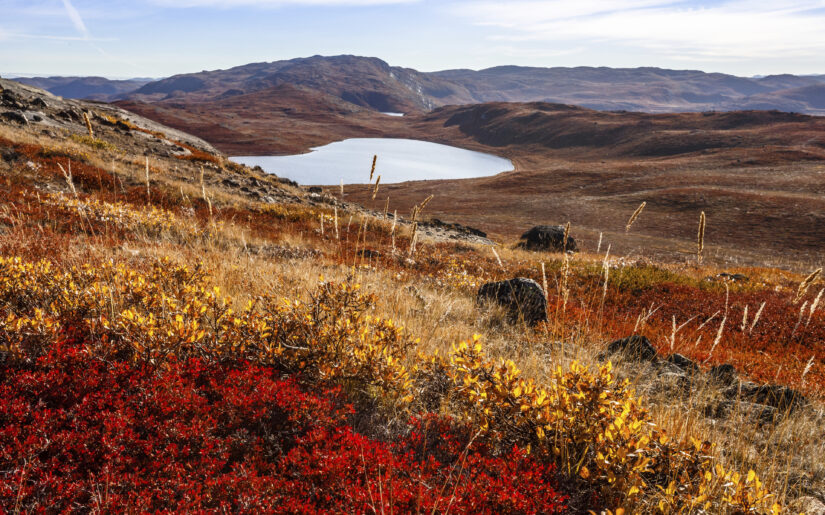 Kangerlussuaq in Grönland auf einer Kreuzfahrt entdecken